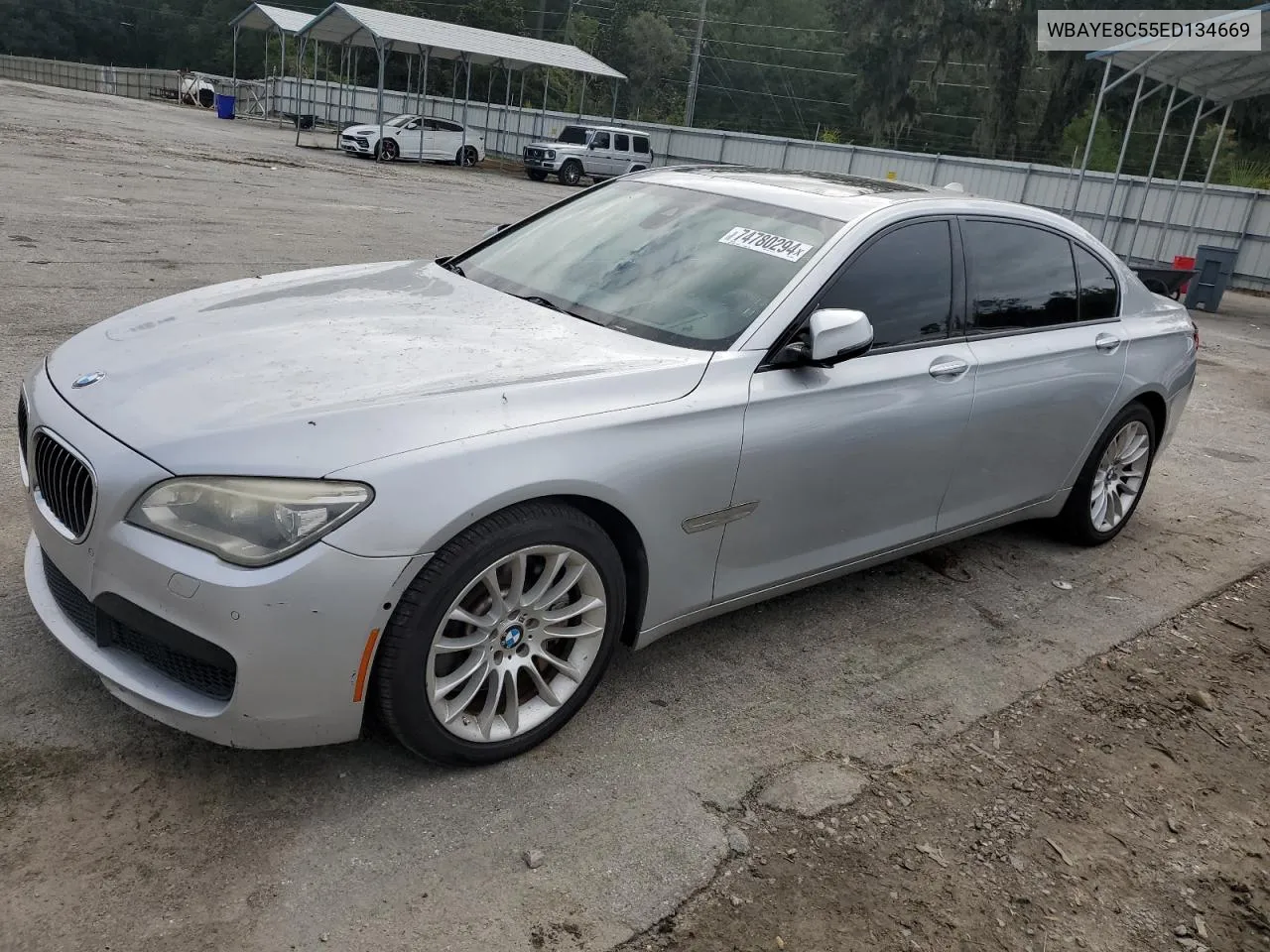 2014 BMW 750 Li VIN: WBAYE8C55ED134669 Lot: 74780294