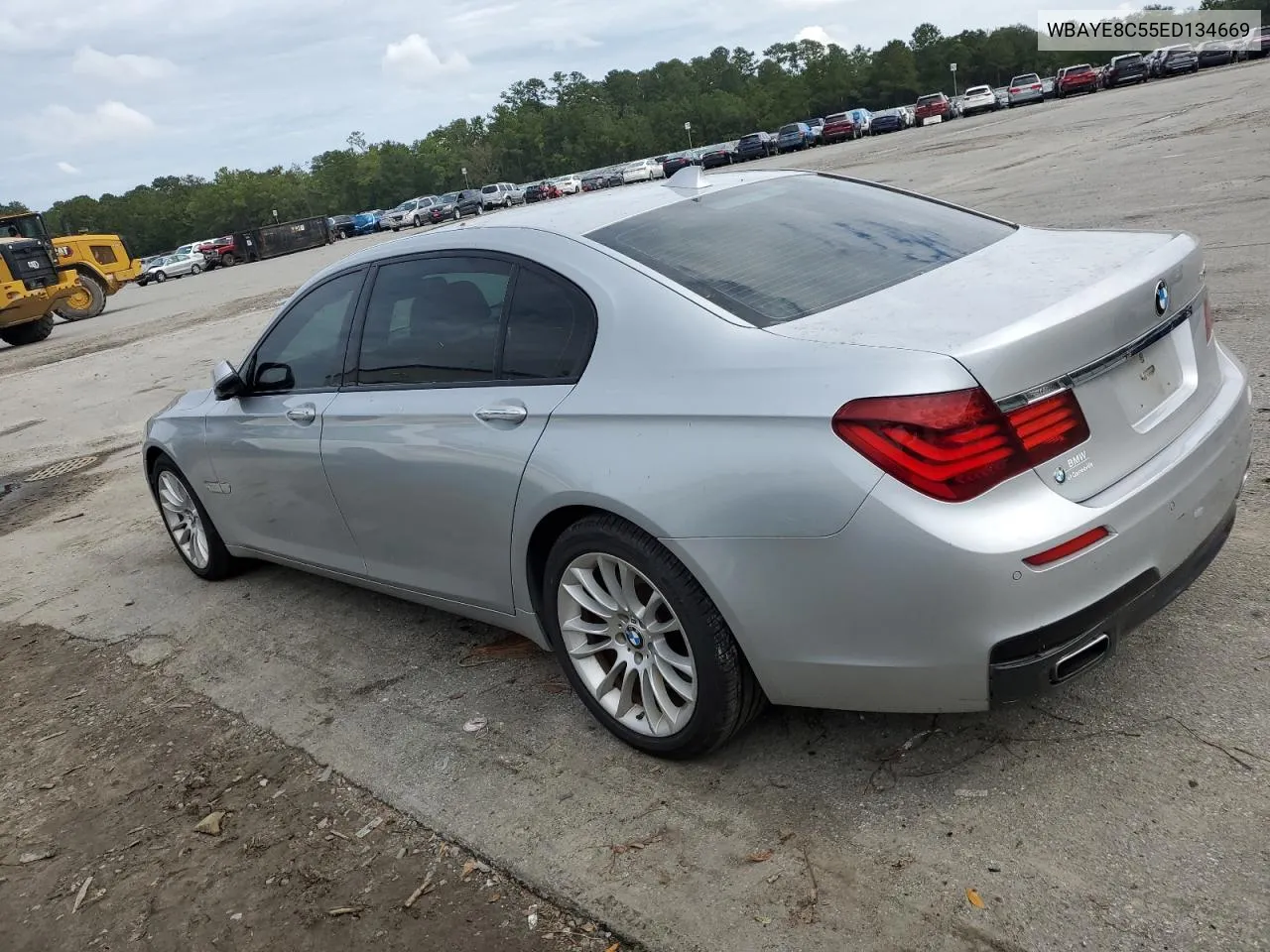 2014 BMW 750 Li VIN: WBAYE8C55ED134669 Lot: 74780294