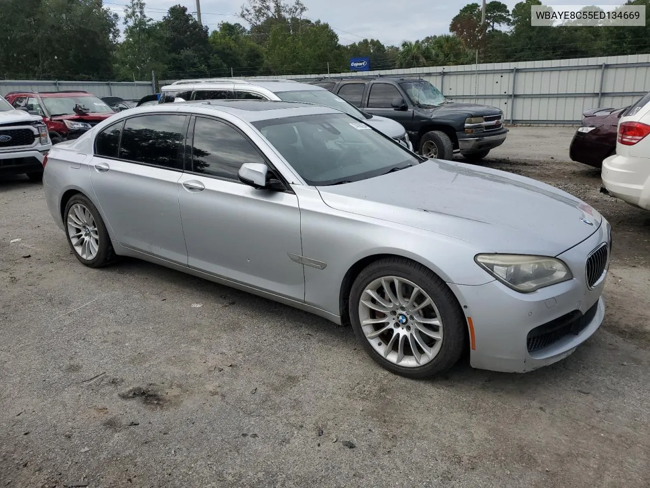 2014 BMW 750 Li VIN: WBAYE8C55ED134669 Lot: 74780294