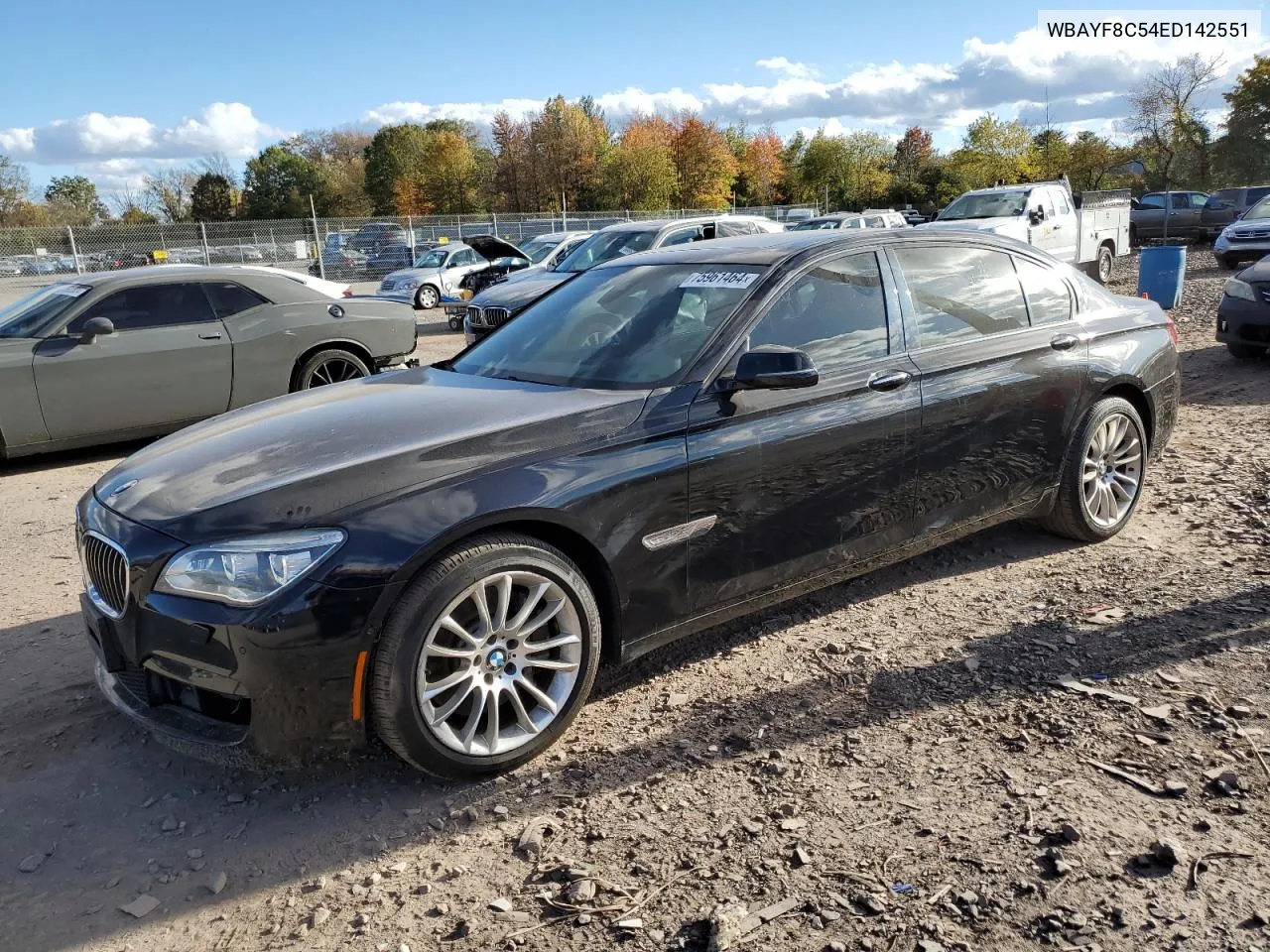 2014 BMW 750 Lxi VIN: WBAYF8C54ED142551 Lot: 75961464