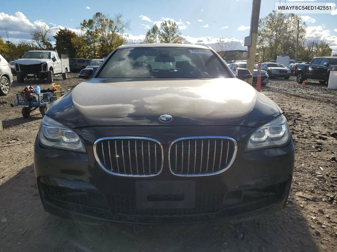 2014 BMW 750 Lxi VIN: WBAYF8C54ED142551 Lot: 75961464