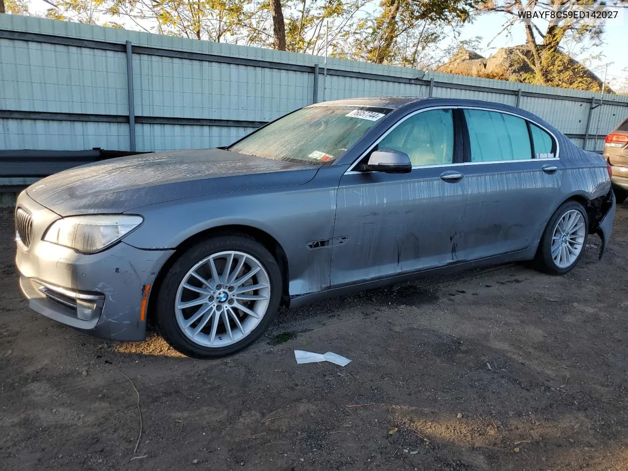 2014 BMW 750 Lxi VIN: WBAYF8C59ED142027 Lot: 76057744