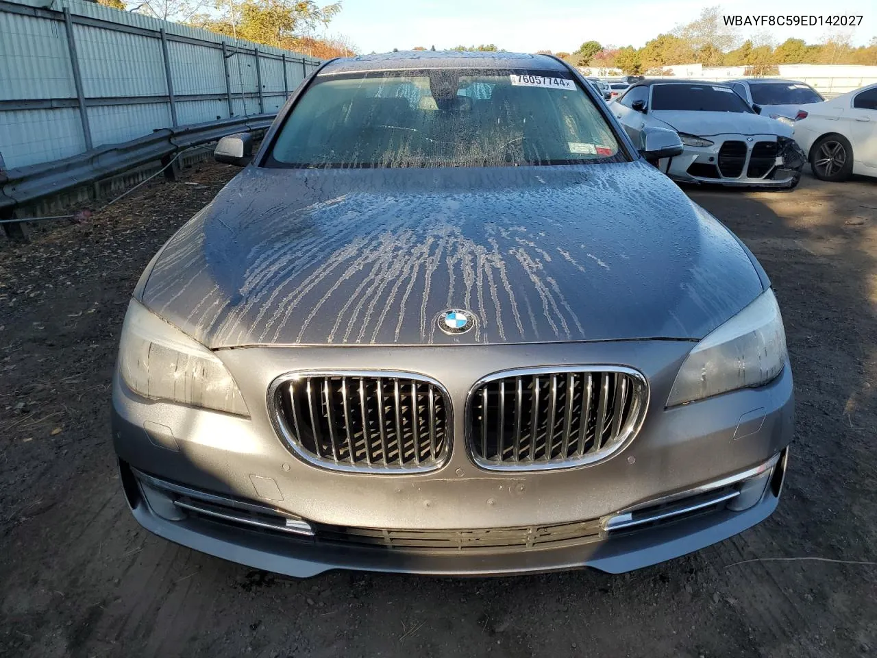 2014 BMW 750 Lxi VIN: WBAYF8C59ED142027 Lot: 76057744