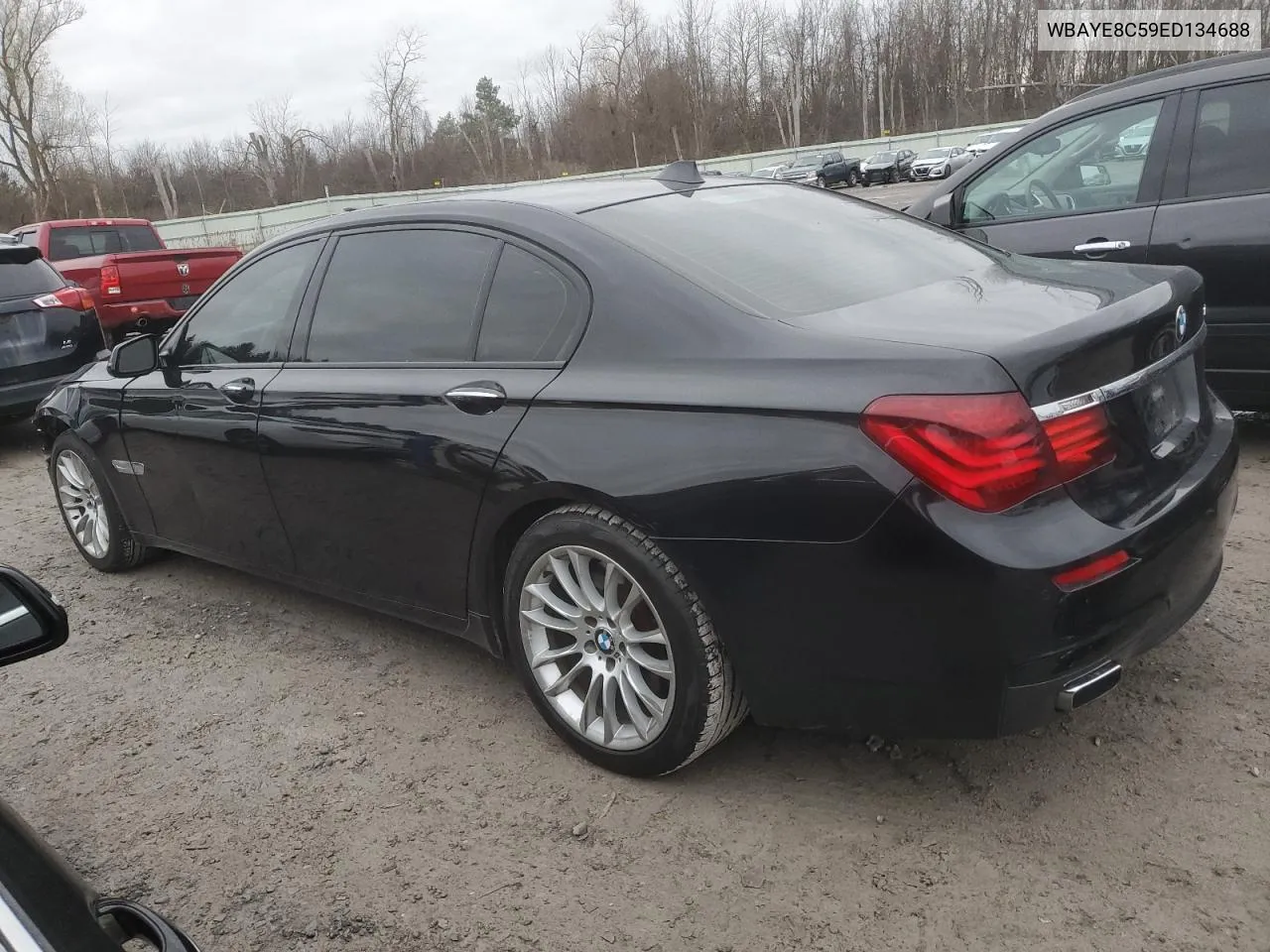 2014 BMW 750 Li VIN: WBAYE8C59ED134688 Lot: 80206204