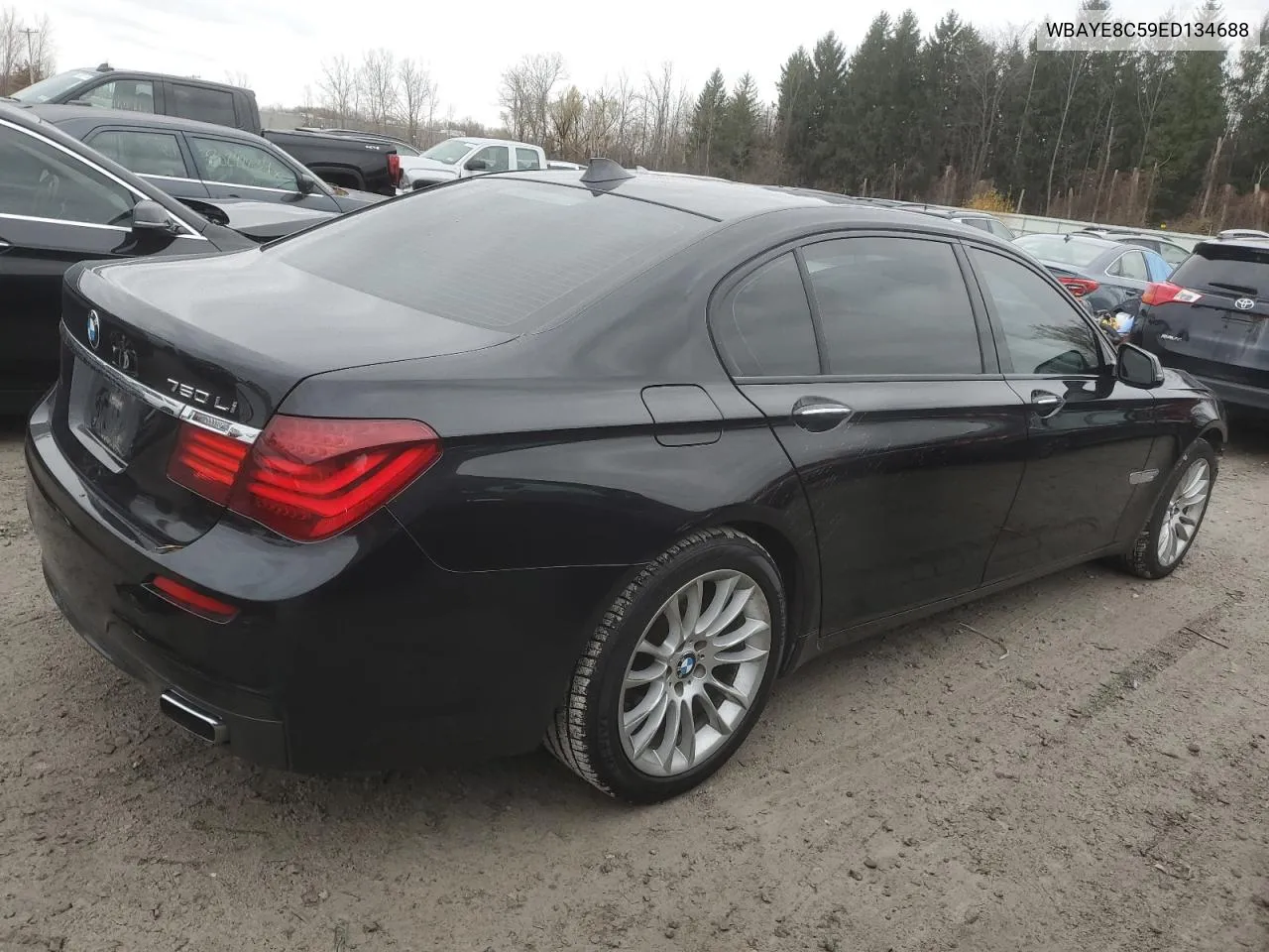 2014 BMW 750 Li VIN: WBAYE8C59ED134688 Lot: 80206204