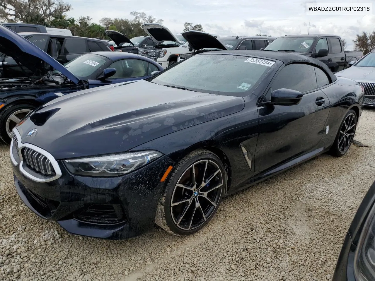 WBADZ2C01RCP02318 2024 BMW 840I