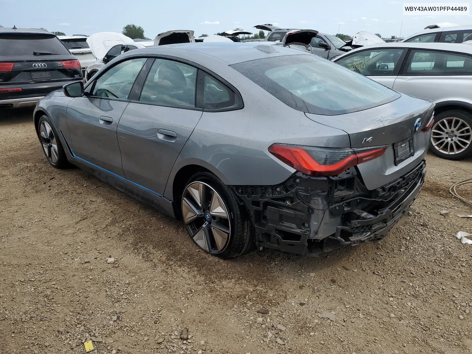 2023 BMW I4 Edrive 35 VIN: WBY43AW01PFP44489 Lot: 66125494