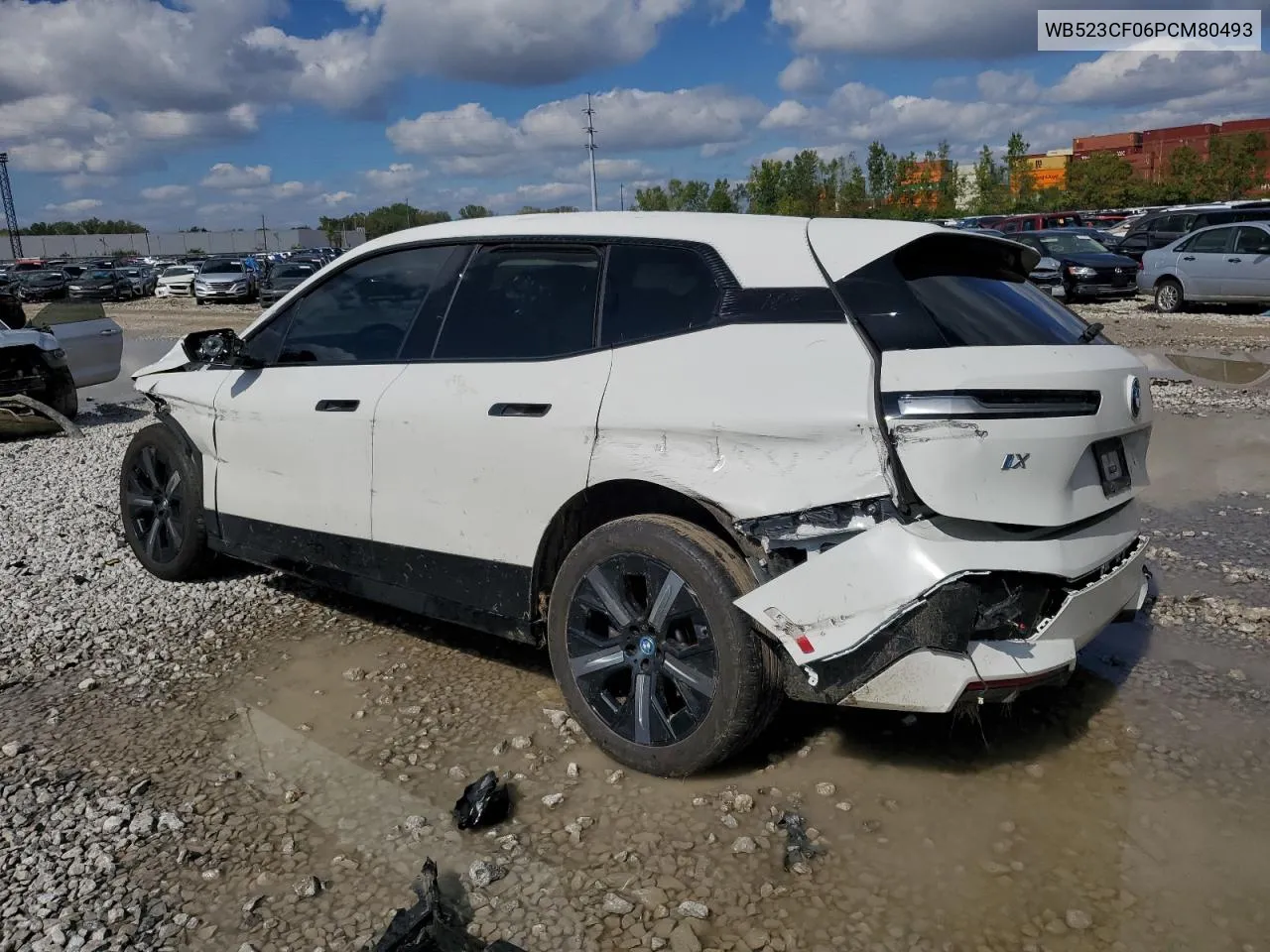 2023 BMW Ix xDrive50 VIN: WB523CF06PCM80493 Lot: 73968904