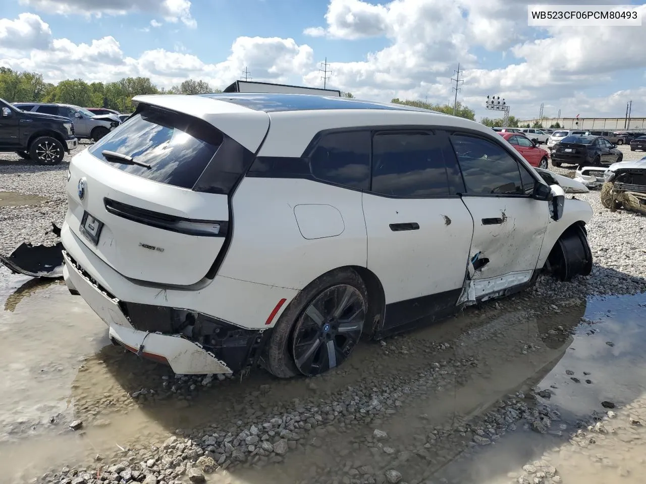 2023 BMW Ix xDrive50 VIN: WB523CF06PCM80493 Lot: 73968904