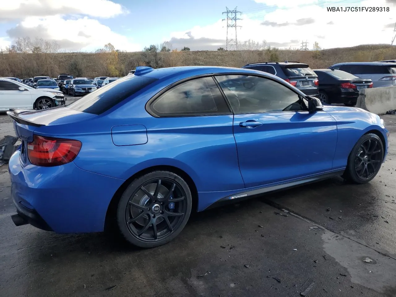 2015 BMW M235I VIN: WBA1J7C51FV289318 Lot: 78651184