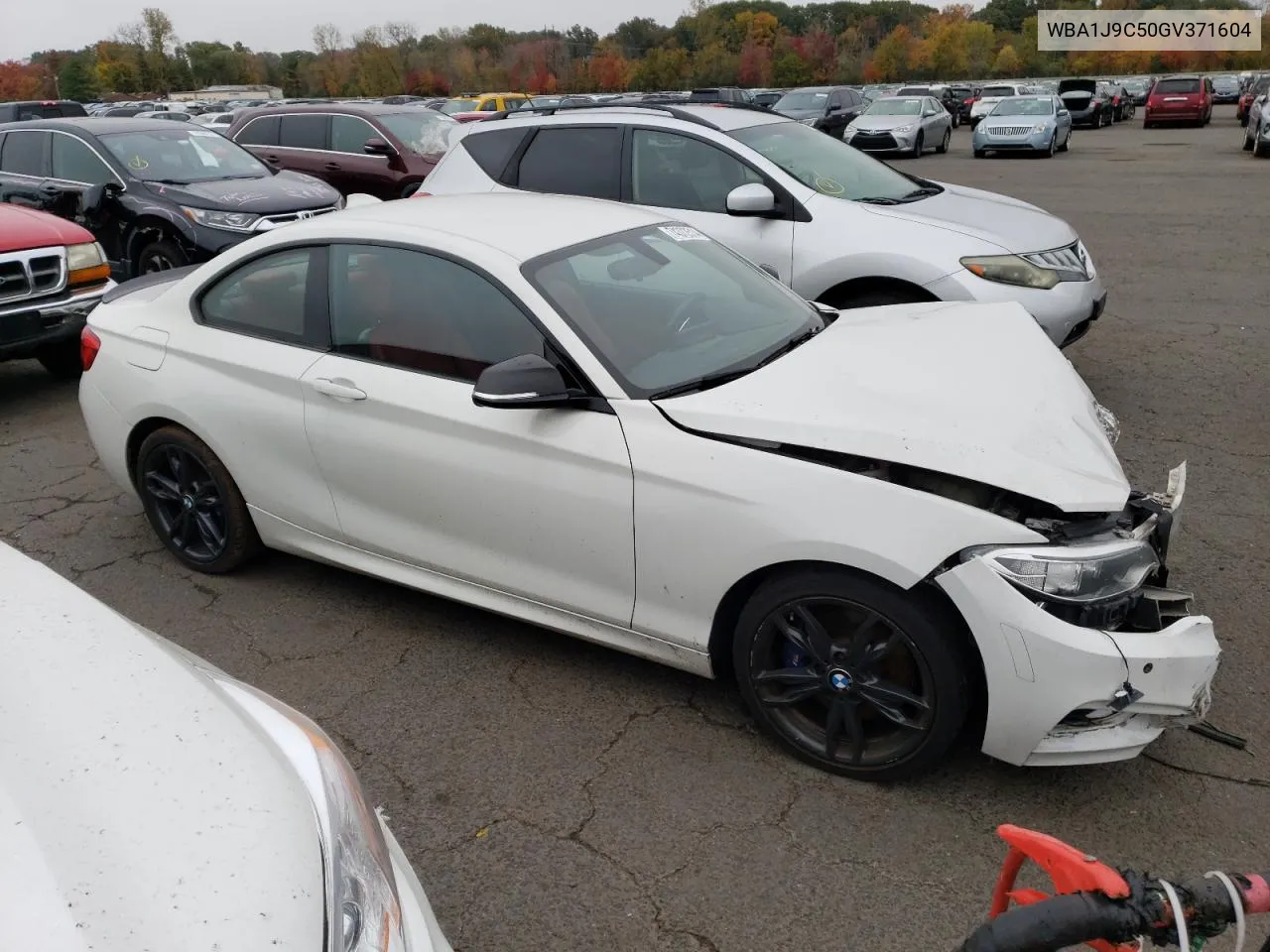 2016 BMW M235Xi VIN: WBA1J9C50GV371604 Lot: 74372514