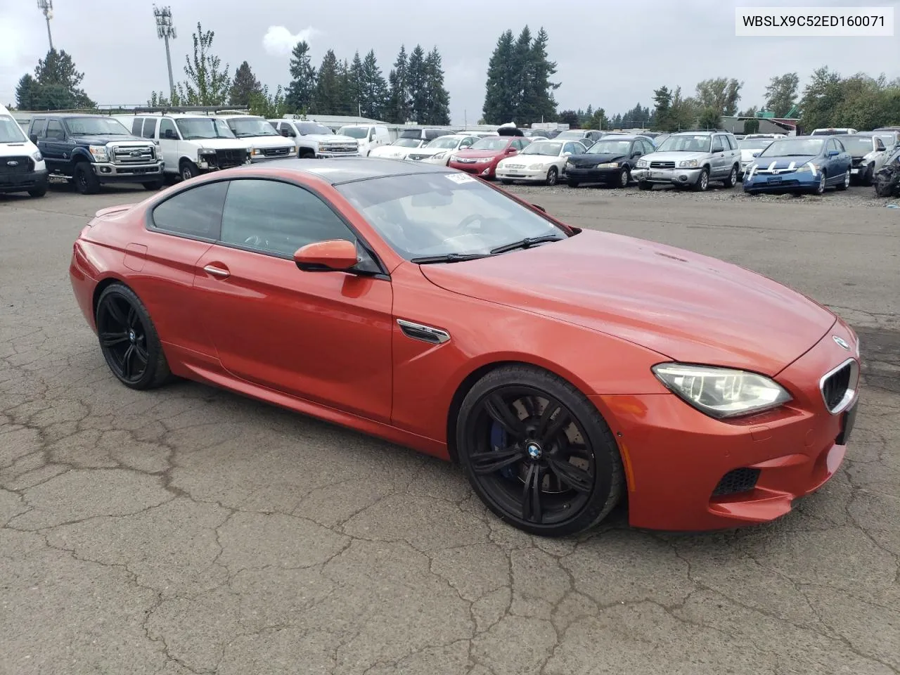 2014 BMW M6 VIN: WBSLX9C52ED160071 Lot: 77452554