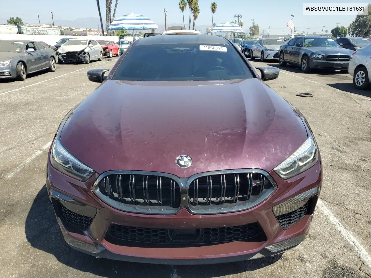 2020 BMW M8 VIN: WBSGV0C01LBT81631 Lot: 71066814