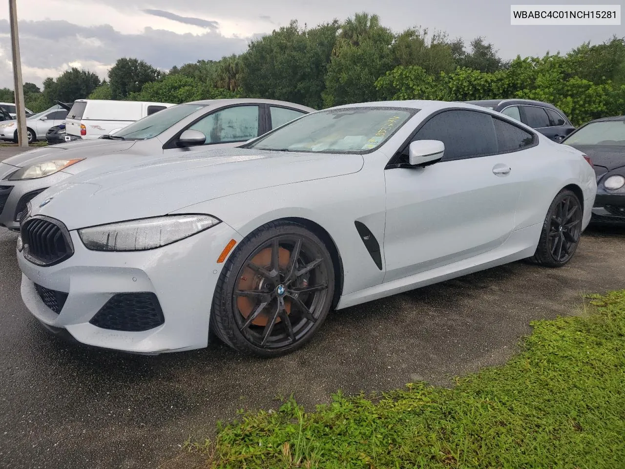 2022 BMW M850Xi VIN: WBABC4C01NCH15281 Lot: 74353274