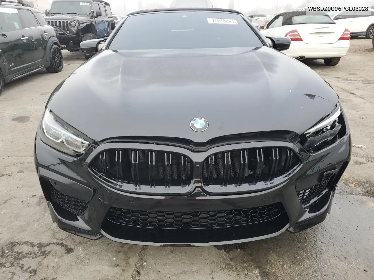 WBSDZ0C06PCL03028 2023 BMW M8