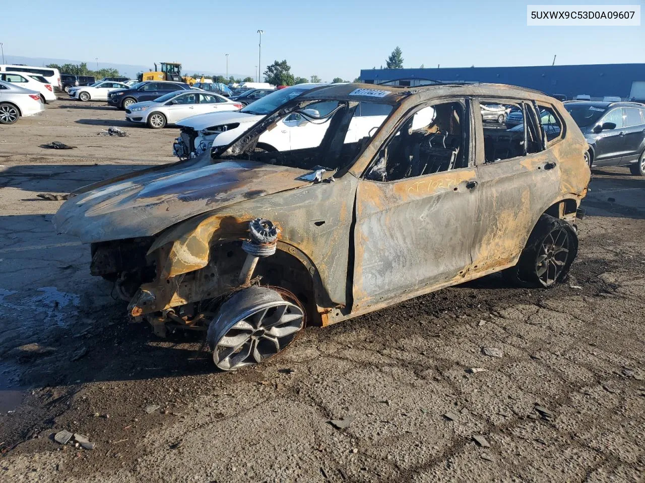 2013 BMW X3 xDrive28I VIN: 5UXWX9C53D0A09607 Lot: 67770274