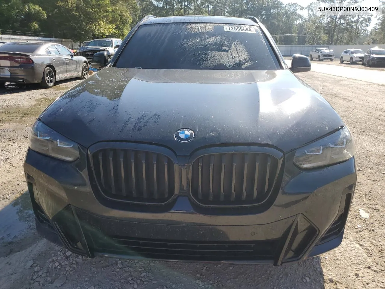 2022 BMW X3 Sdrive30I VIN: 5UX43DP00N9J03409 Lot: 72599644