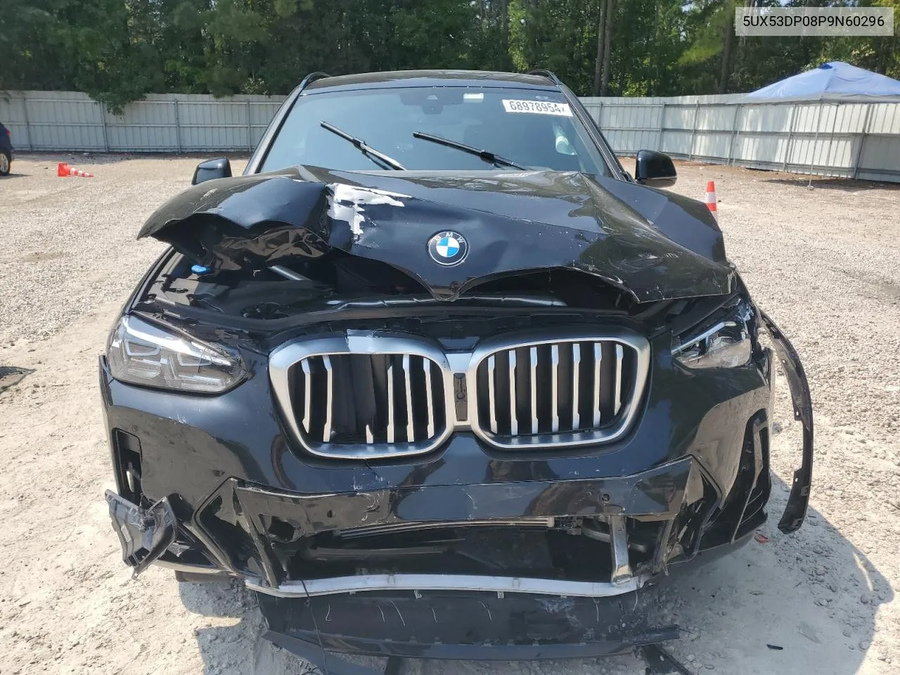 2023 BMW X3 xDrive30I VIN: 5UX53DP08P9N60296 Lot: 68978954