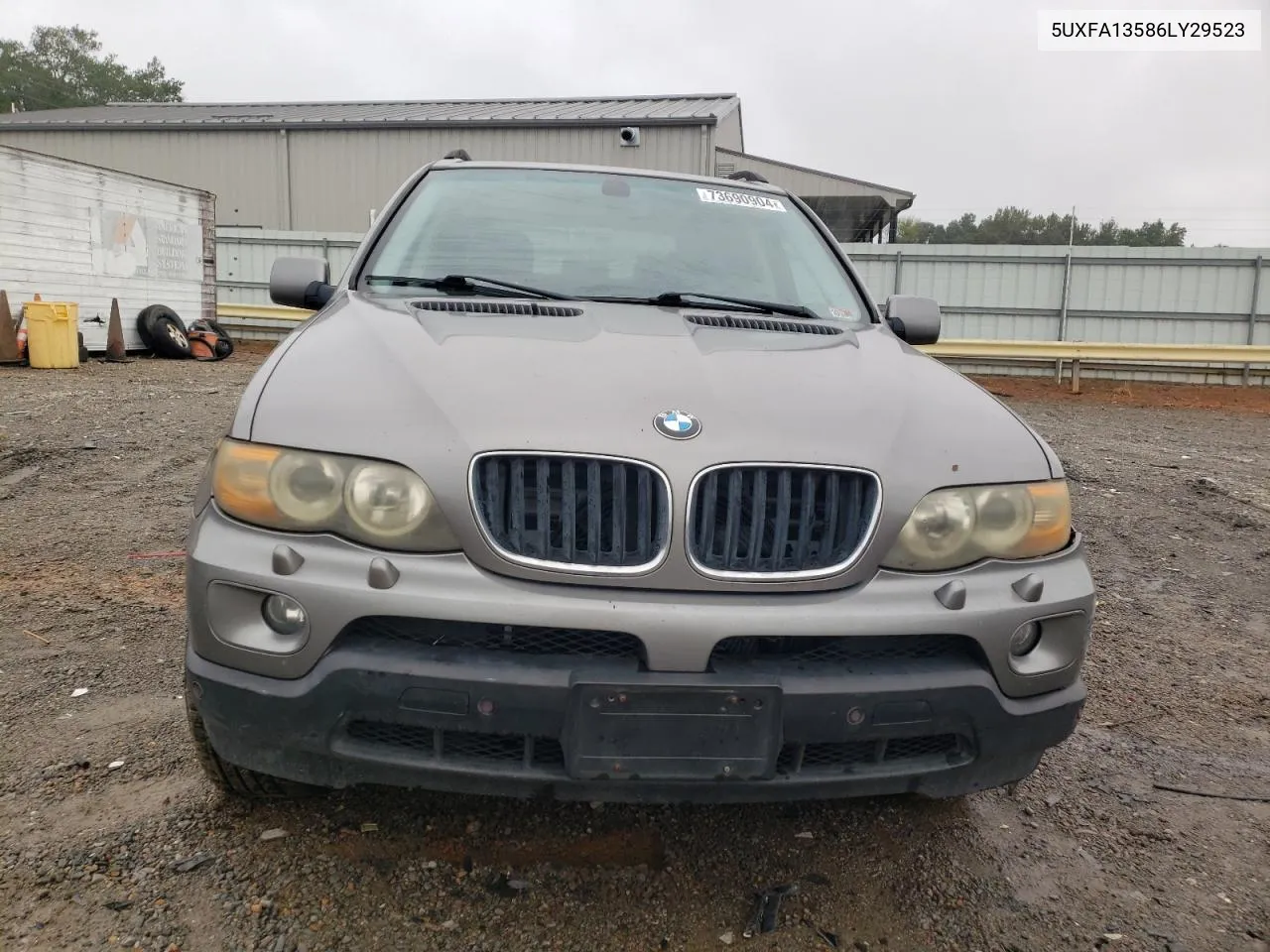 2006 BMW X5 3.0I VIN: 5UXFA13586LY29523 Lot: 73690904