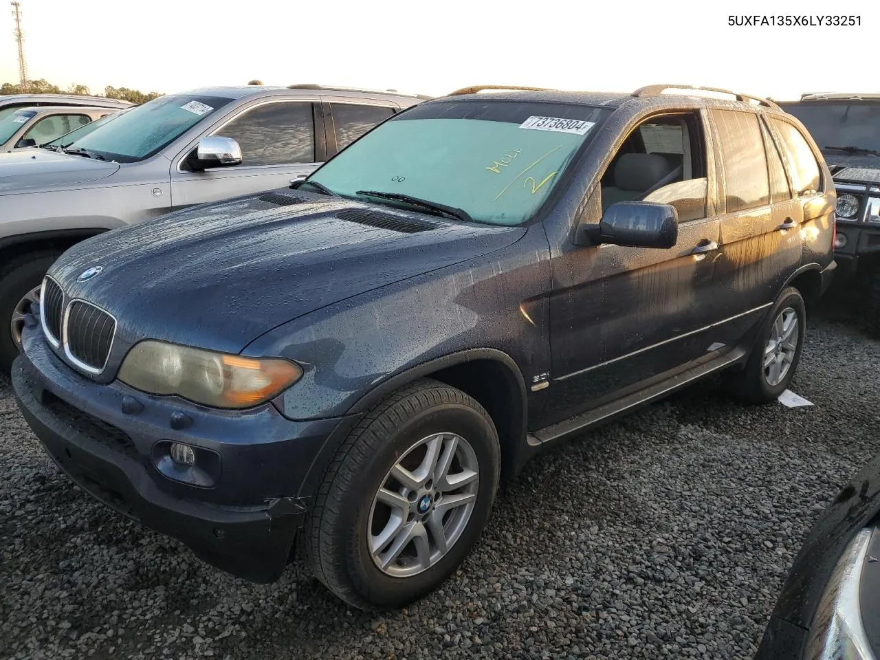 2006 BMW X5 3.0I VIN: 5UXFA135X6LY33251 Lot: 73736804