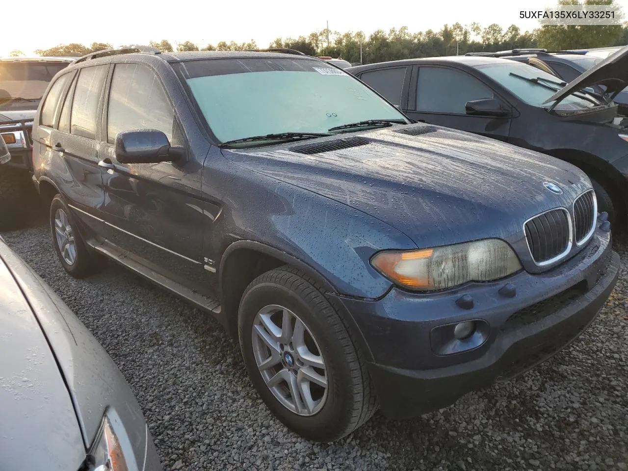 2006 BMW X5 3.0I VIN: 5UXFA135X6LY33251 Lot: 73736804