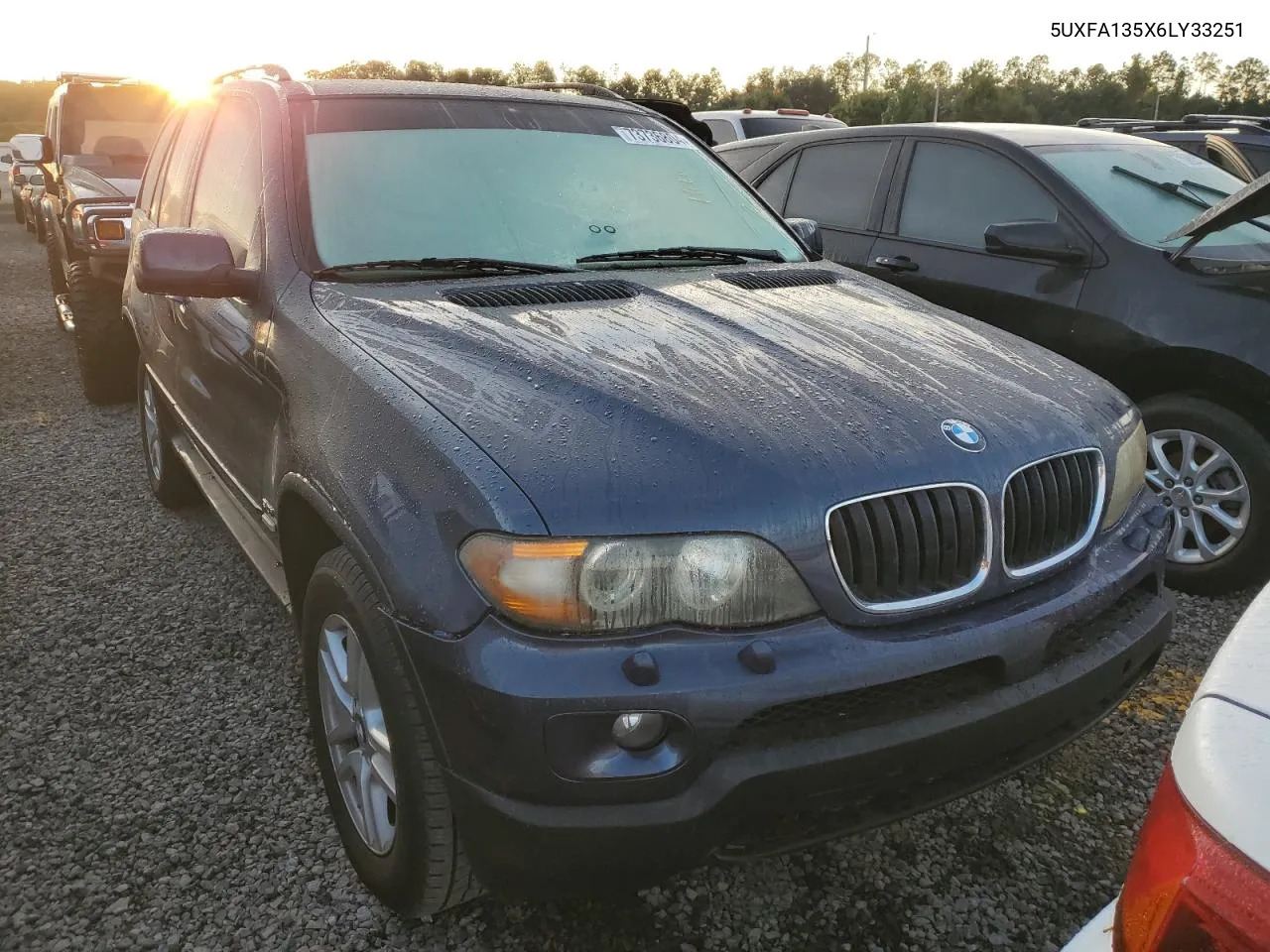 2006 BMW X5 3.0I VIN: 5UXFA135X6LY33251 Lot: 73736804