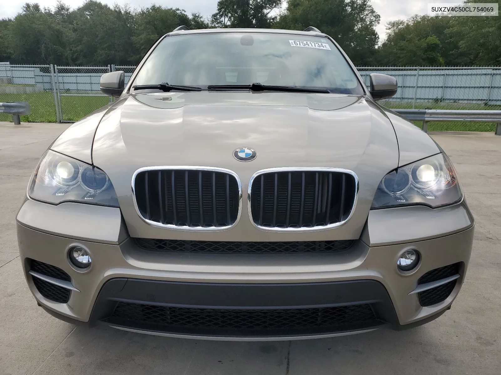 2012 BMW X5 xDrive35I VIN: 5UXZV4C50CL754069 Lot: 67541734