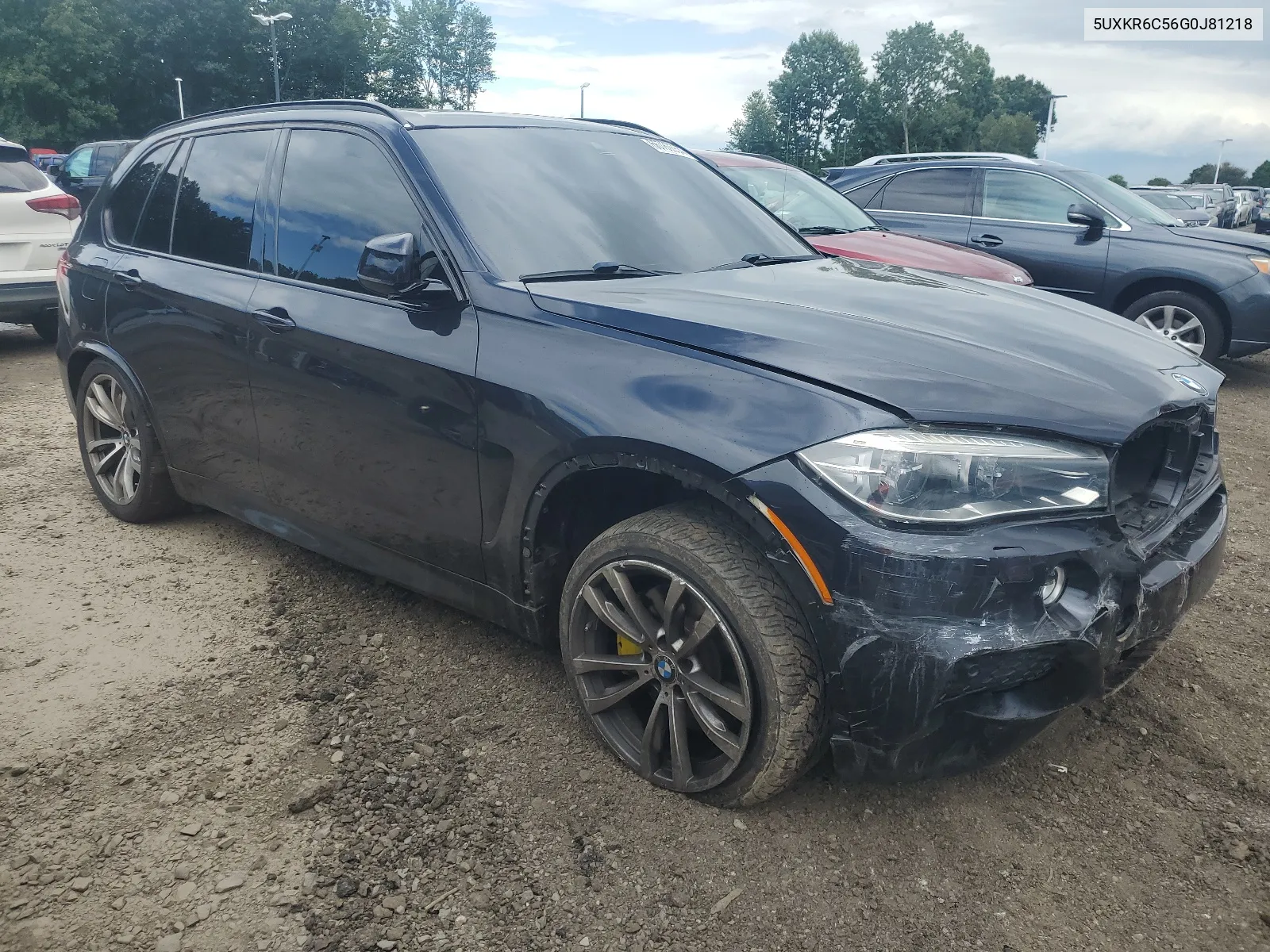 2016 BMW X5 xDrive50I VIN: 5UXKR6C56G0J81218 Lot: 66763554