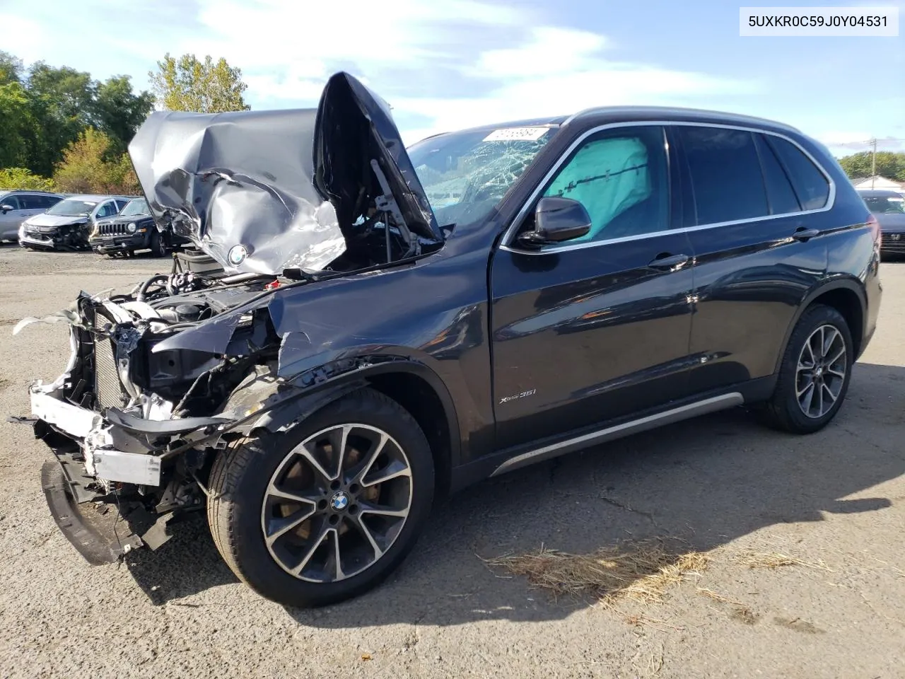 2018 BMW X5 xDrive35I VIN: 5UXKR0C59J0Y04531 Lot: 73153984