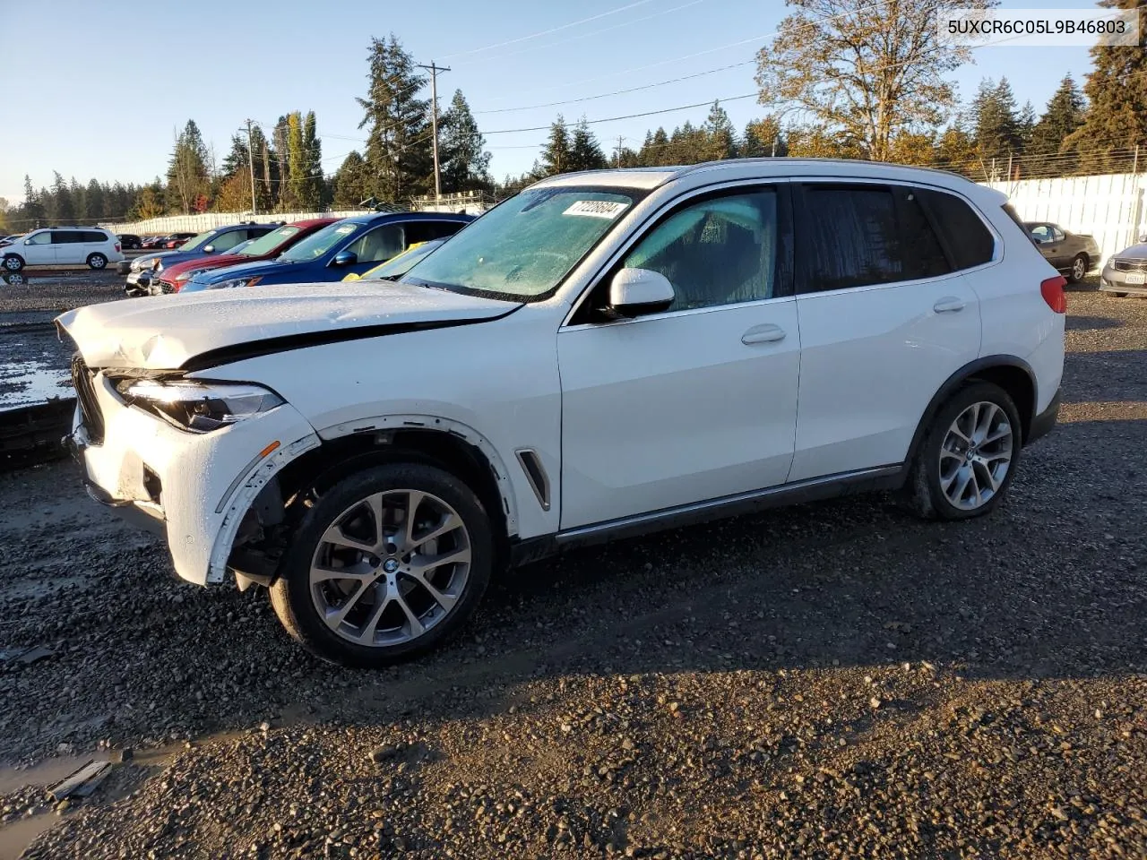 2020 BMW X5 xDrive40I VIN: 5UXCR6C05L9B46803 Lot: 77228604