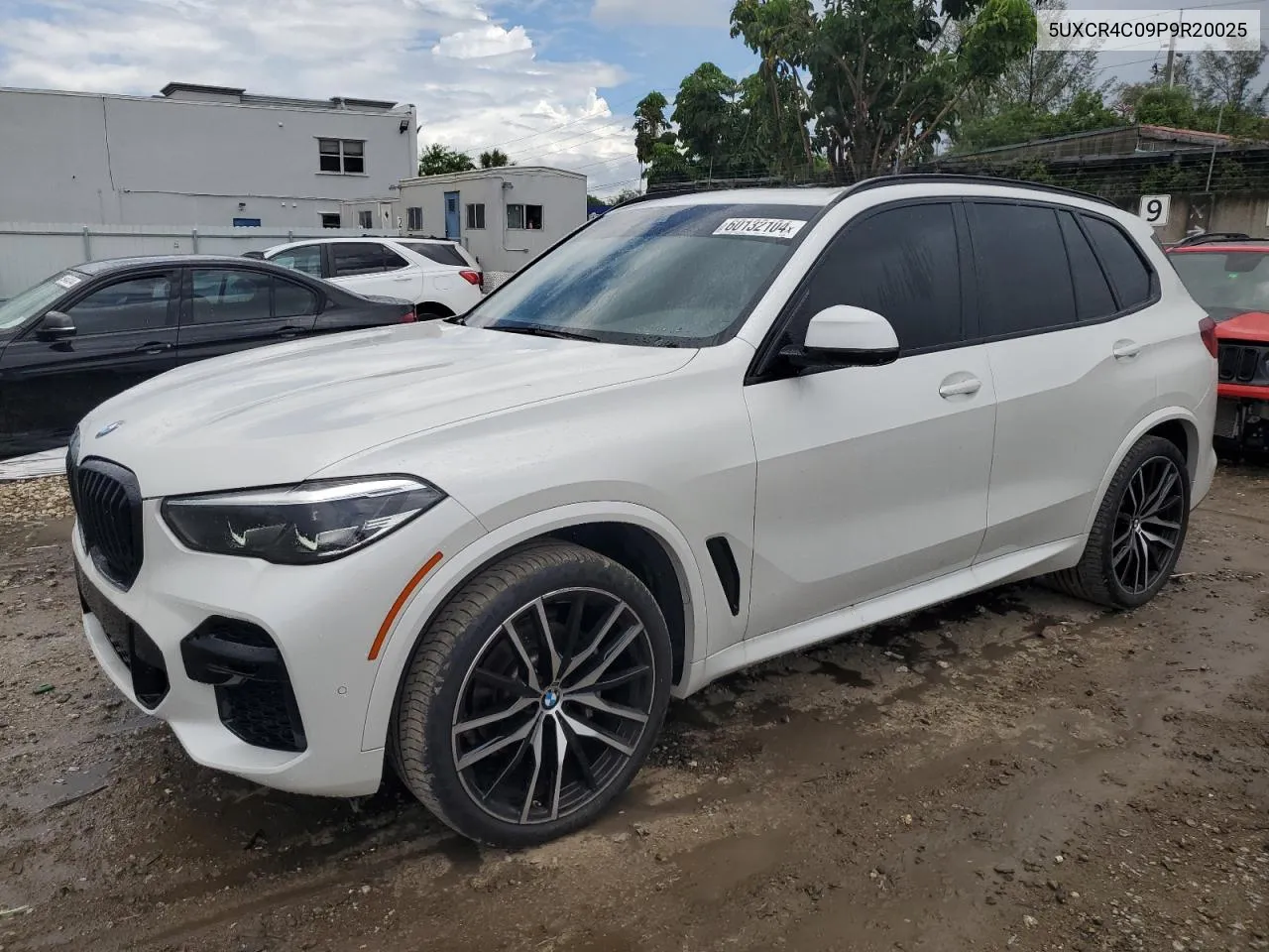 2023 BMW X5 Sdrive 40I VIN: 5UXCR4C09P9R20025 Lot: 60132104