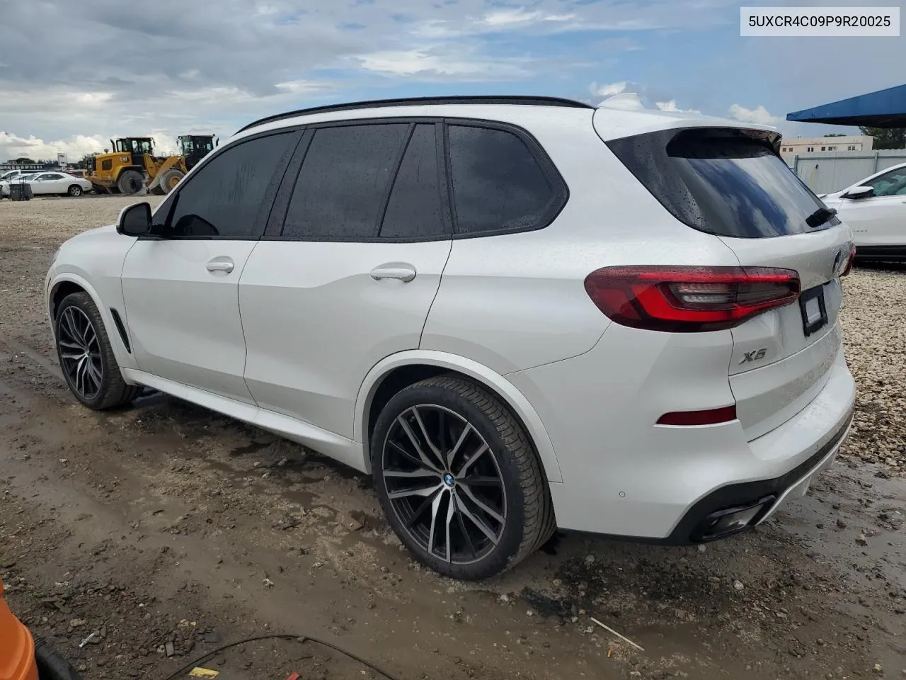 2023 BMW X5 Sdrive 40I VIN: 5UXCR4C09P9R20025 Lot: 60132104