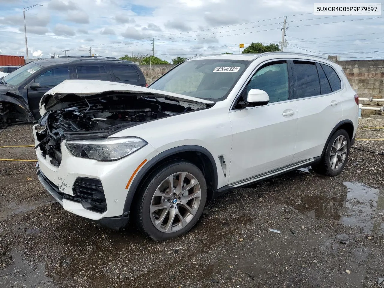 2023 BMW X5 Sdrive 40I VIN: 5UXCR4C05P9P79597 Lot: 74209814