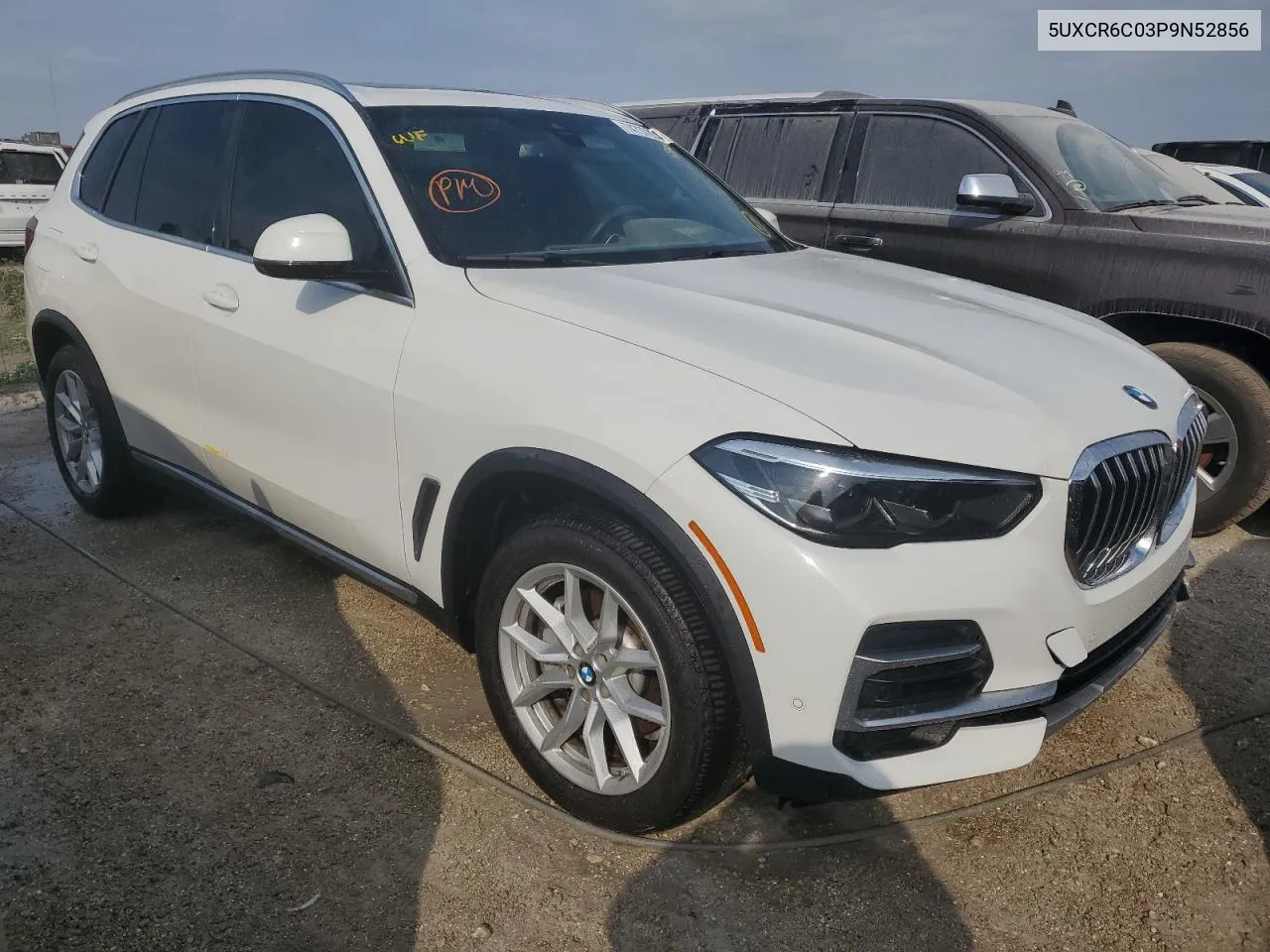 2023 BMW X5 xDrive40I VIN: 5UXCR6C03P9N52856 Lot: 74737864