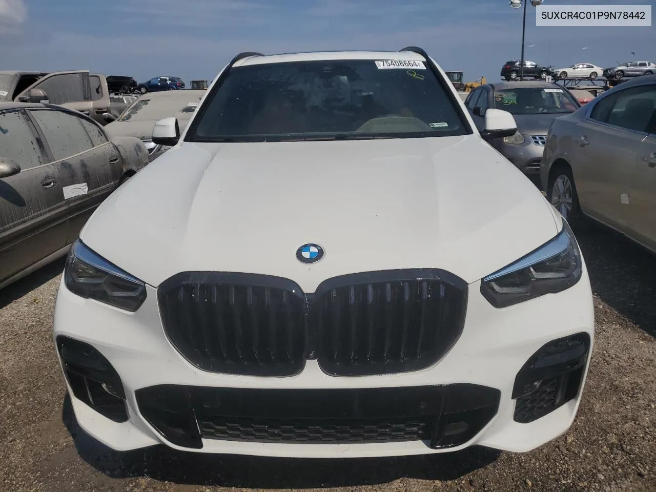 2023 BMW X5 Sdrive 40I VIN: 5UXCR4C01P9N78442 Lot: 75408664