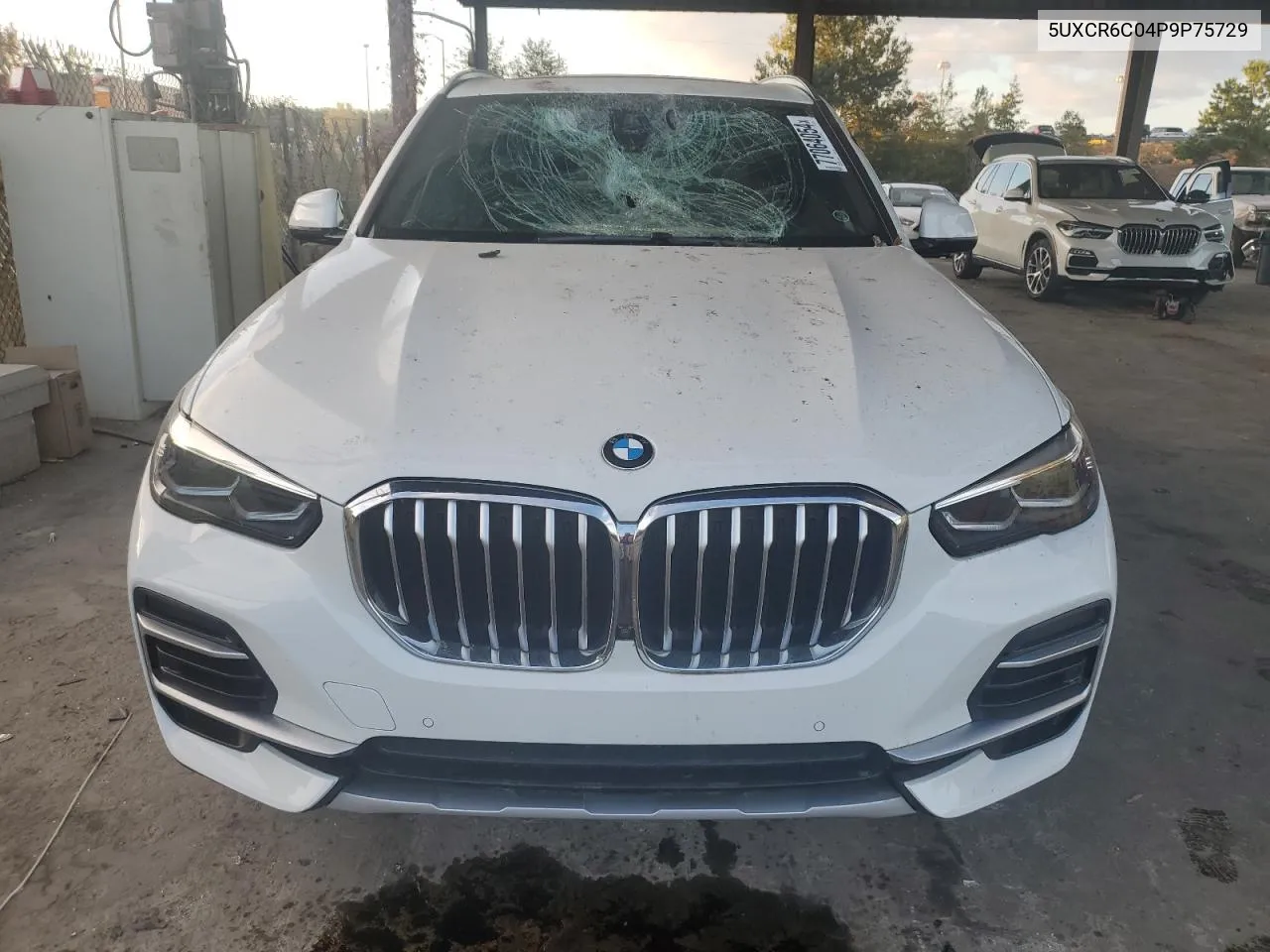 2023 BMW X5 xDrive40I VIN: 5UXCR6C04P9P75729 Lot: 77064054