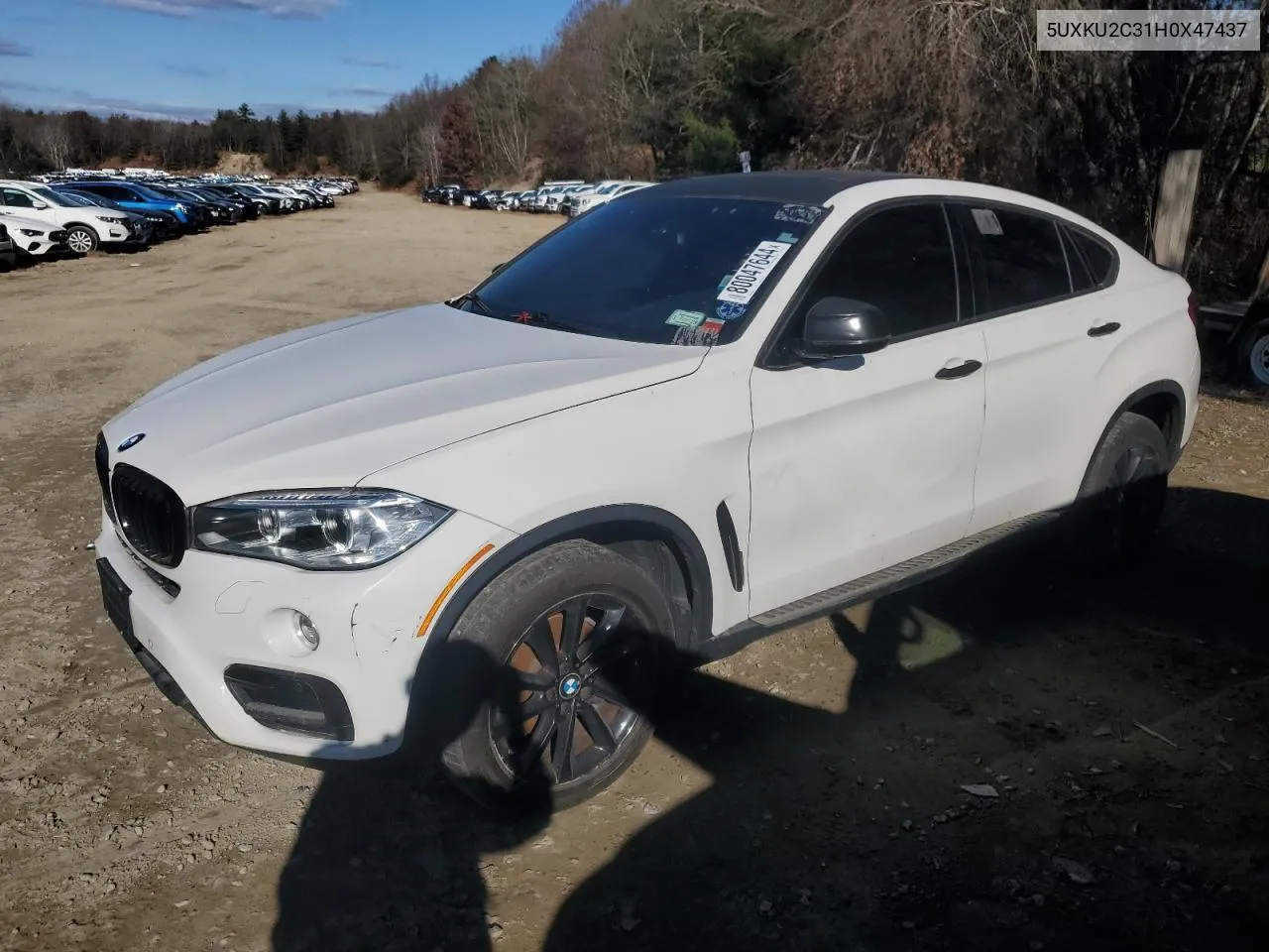 2017 BMW X6 xDrive35I VIN: 5UXKU2C31H0X47437 Lot: 80047644