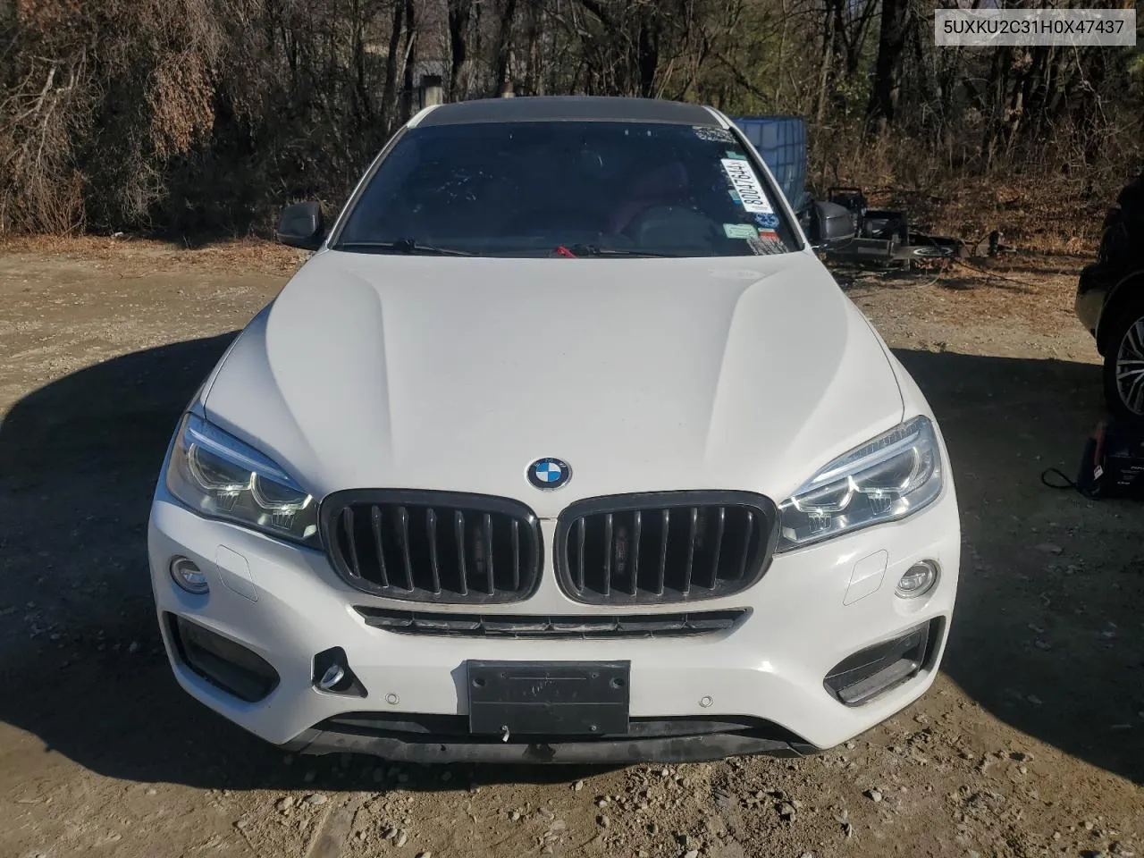 2017 BMW X6 xDrive35I VIN: 5UXKU2C31H0X47437 Lot: 80047644