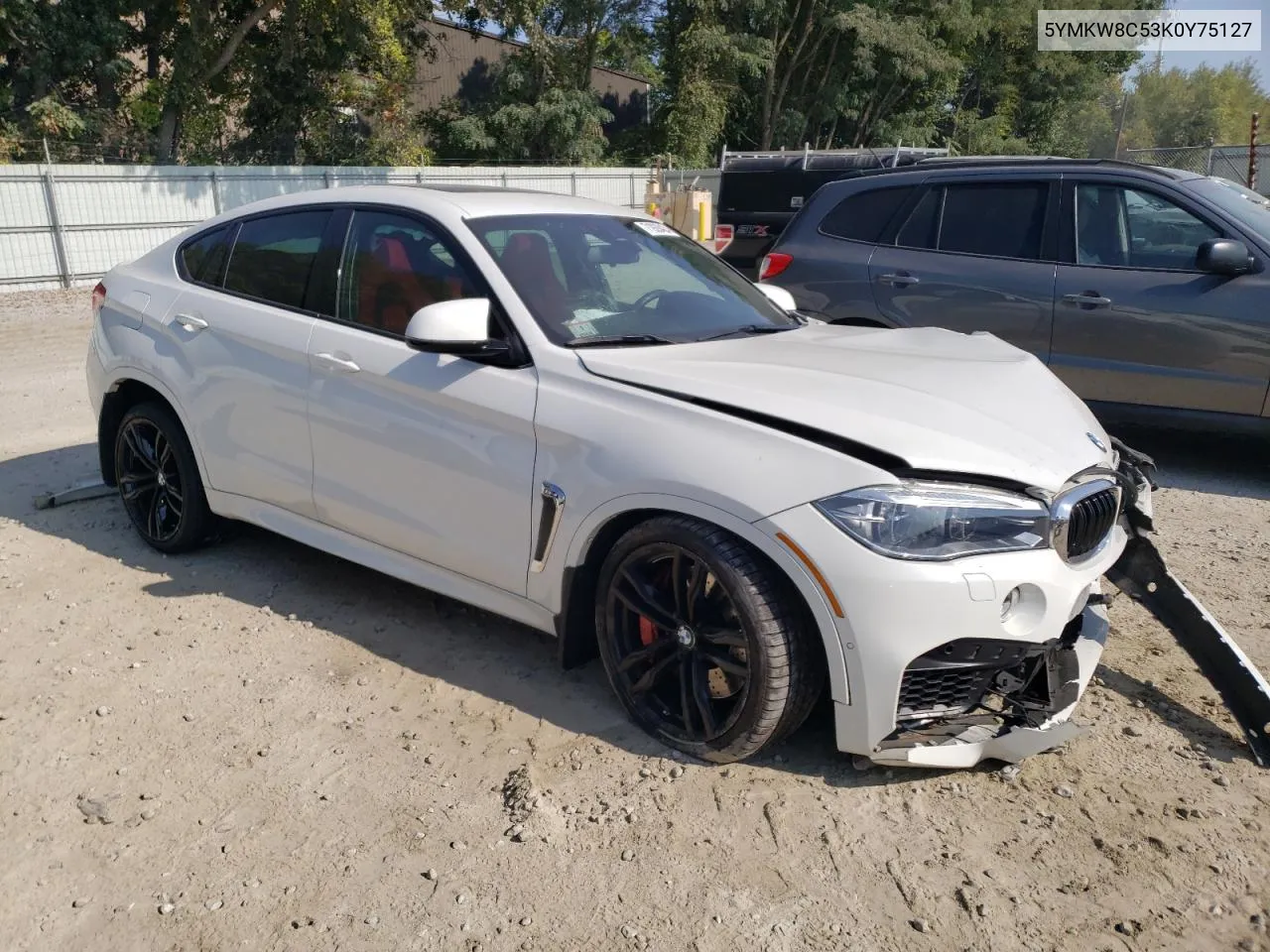 2019 BMW X6 M VIN: 5YMKW8C53K0Y75127 Lot: 71928424