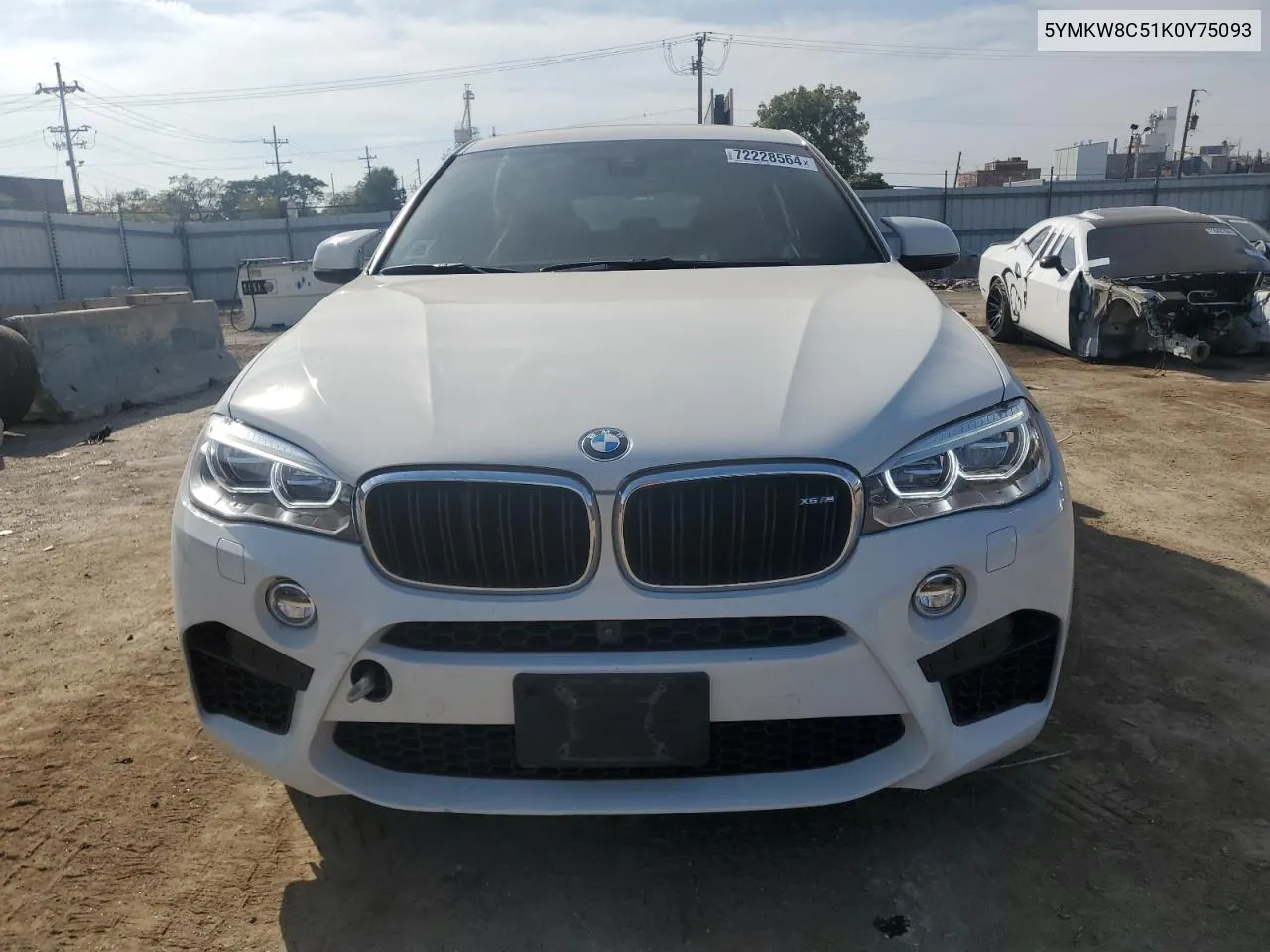 2019 BMW X6 M VIN: 5YMKW8C51K0Y75093 Lot: 72228564