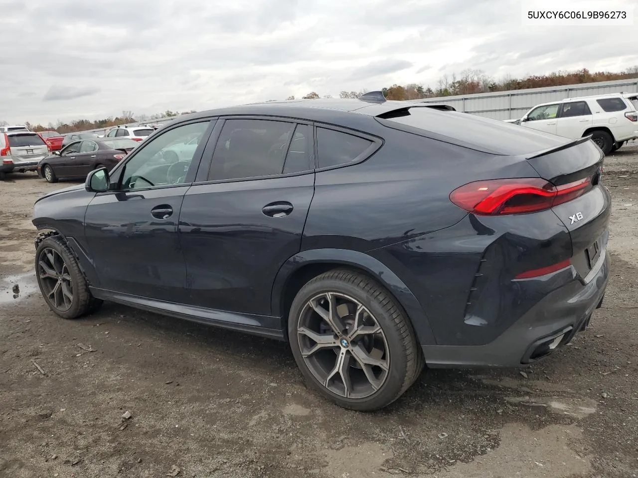 2020 BMW X6 xDrive40I VIN: 5UXCY6C06L9B96273 Lot: 80453024