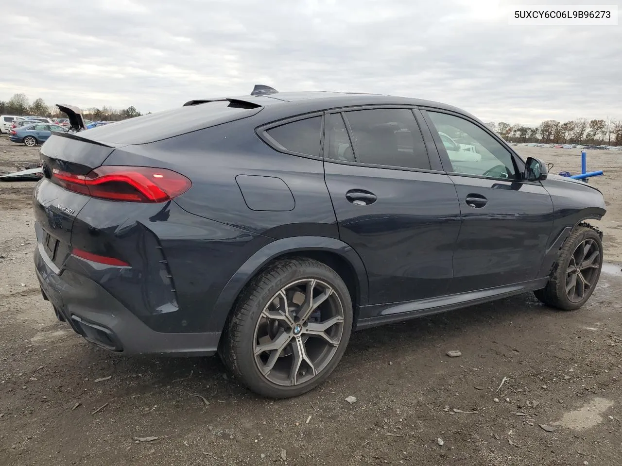 2020 BMW X6 xDrive40I VIN: 5UXCY6C06L9B96273 Lot: 80453024