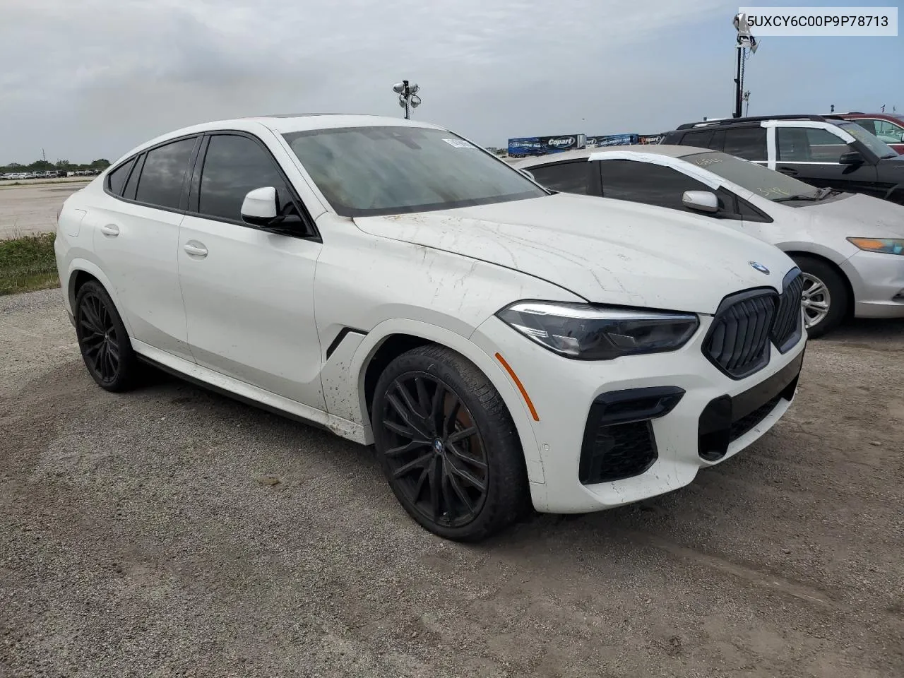 2023 BMW X6 xDrive40I VIN: 5UXCY6C00P9P78713 Lot: 74768964