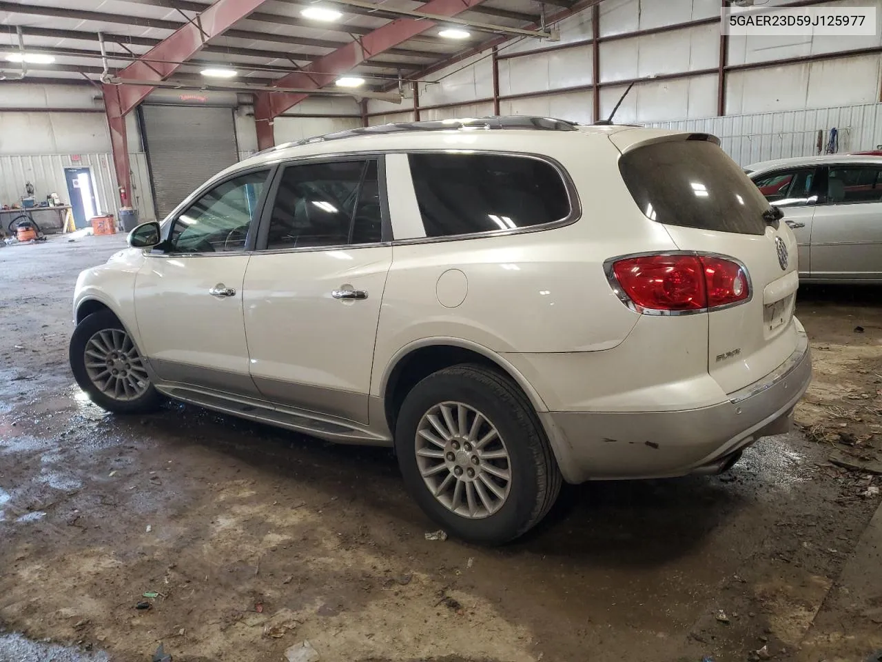 2009 Buick Enclave Cxl VIN: 5GAER23D59J125977 Lot: 76718194