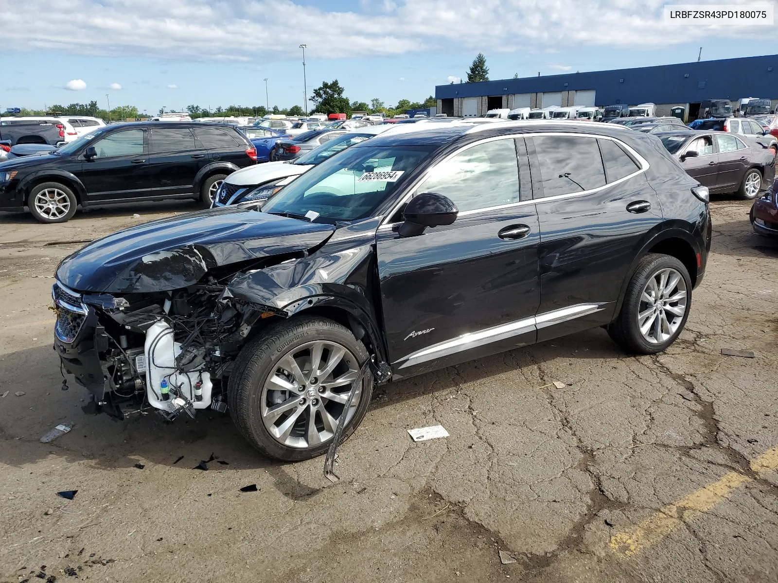 2023 Buick Envision Avenir VIN: LRBFZSR43PD180075 Lot: 66286954