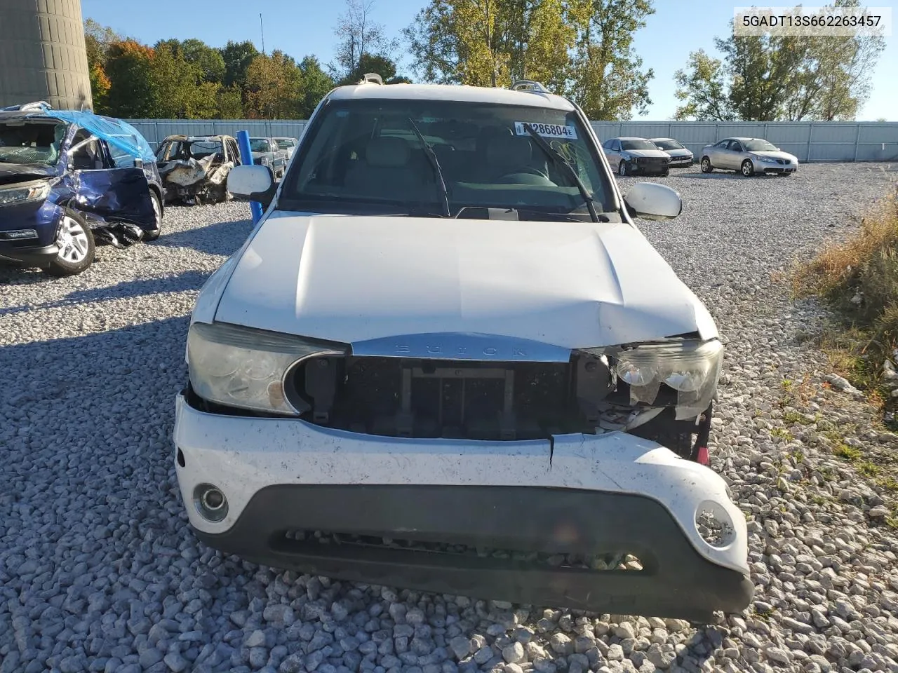 2006 Buick Rainier Cxl VIN: 5GADT13S662263457 Lot: 74286804