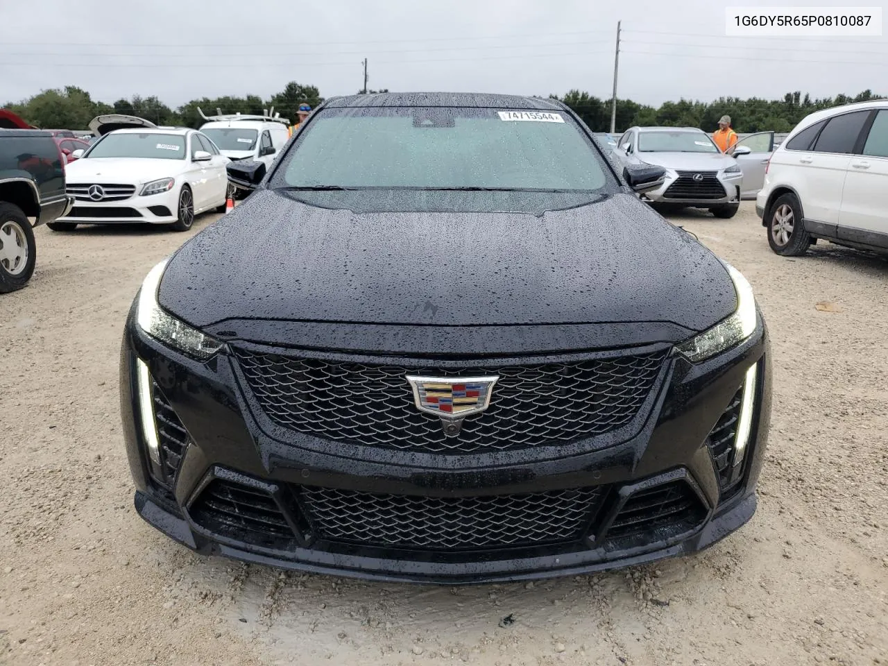 2023 Cadillac Ct5-V Blackwing VIN: 1G6DY5R65P0810087 Lot: 74715544