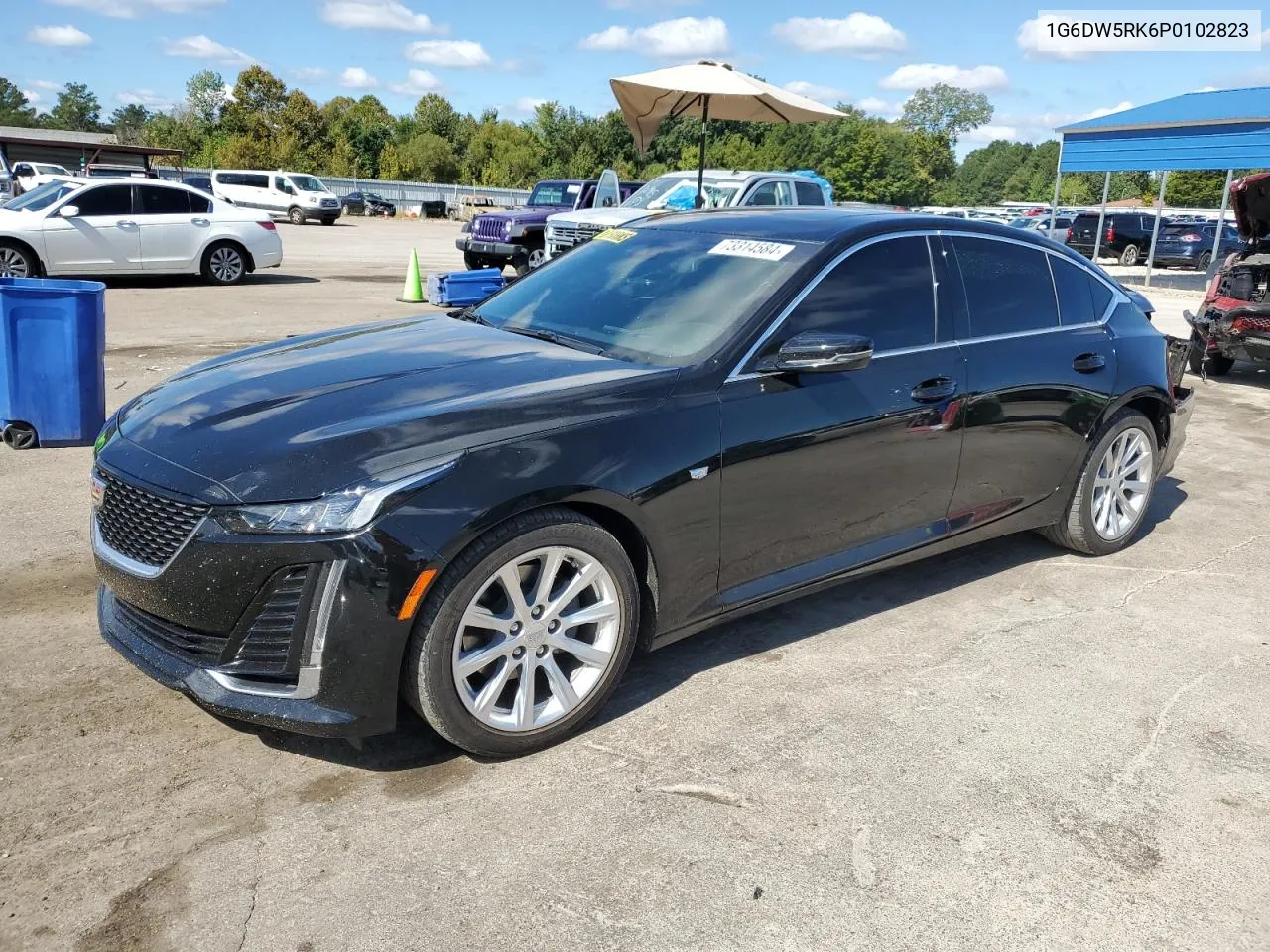 2023 Cadillac Ct5 Luxury VIN: 1G6DW5RK6P0102823 Lot: 73314584