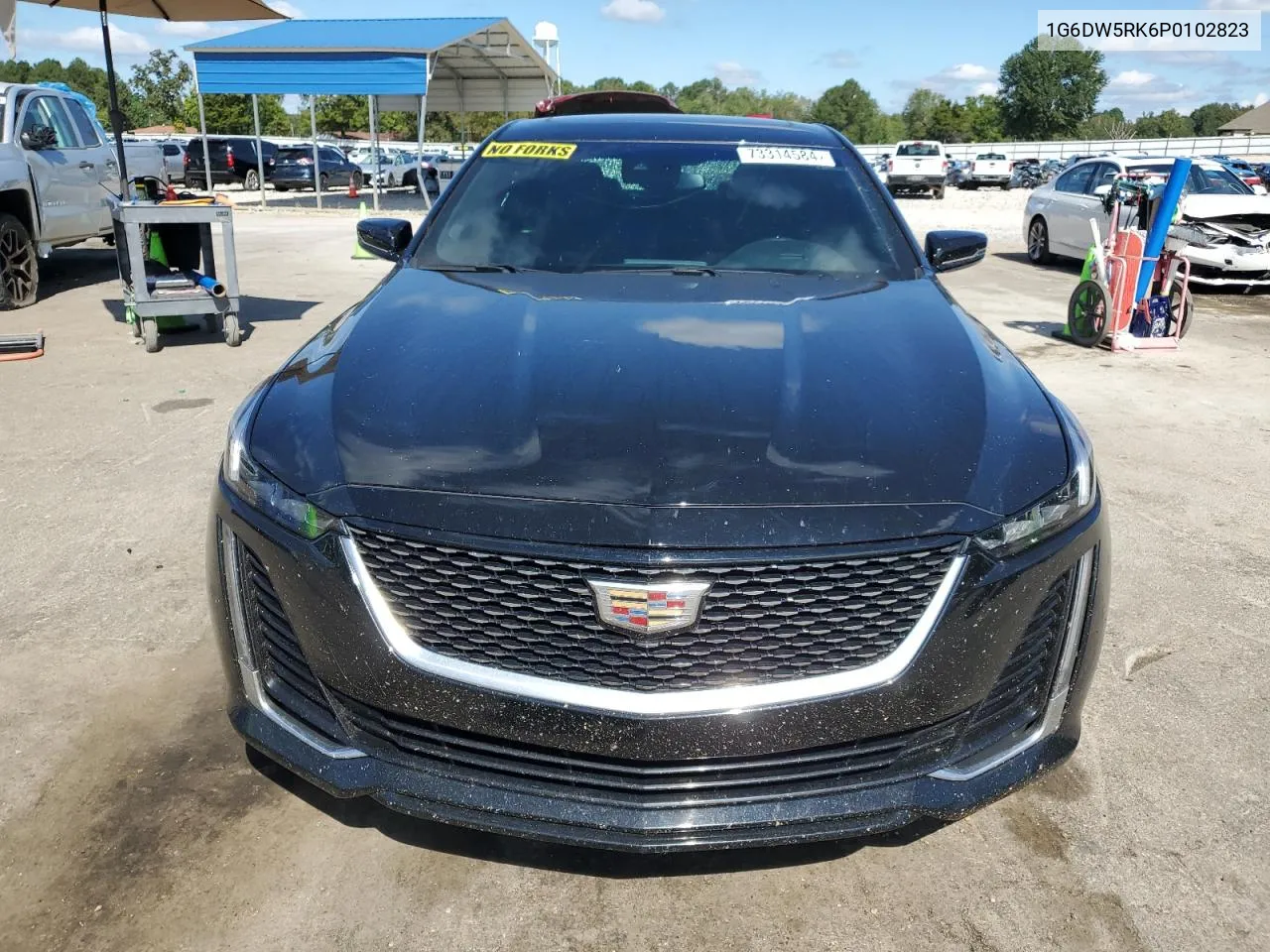 2023 Cadillac Ct5 Luxury VIN: 1G6DW5RK6P0102823 Lot: 73314584