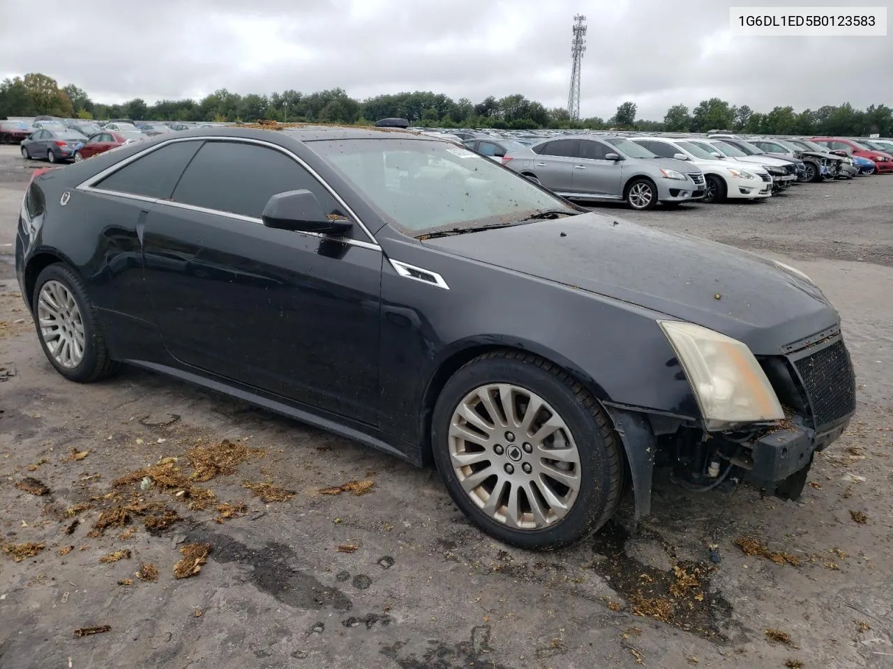 1G6DL1ED5B0123583 2011 Cadillac Cts Performance Collection